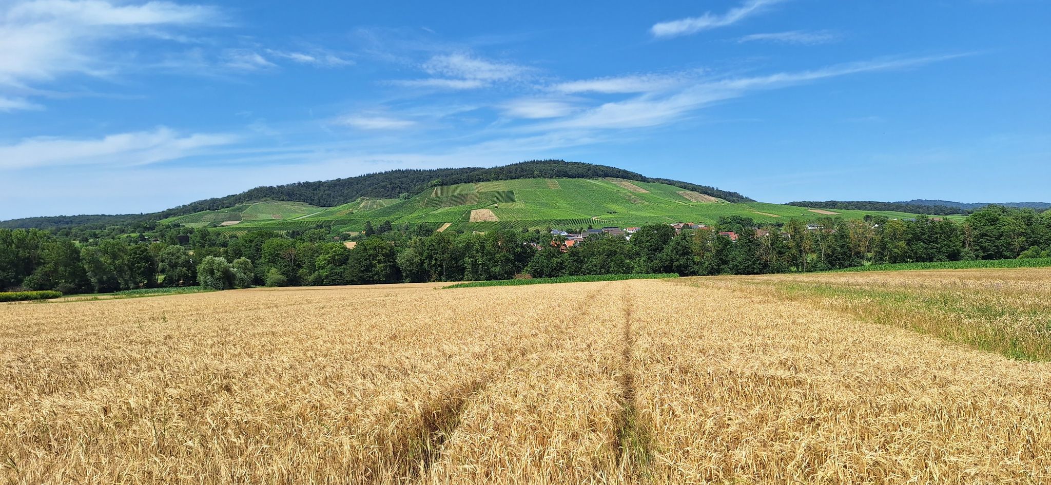 Baiselsberg mal von unten