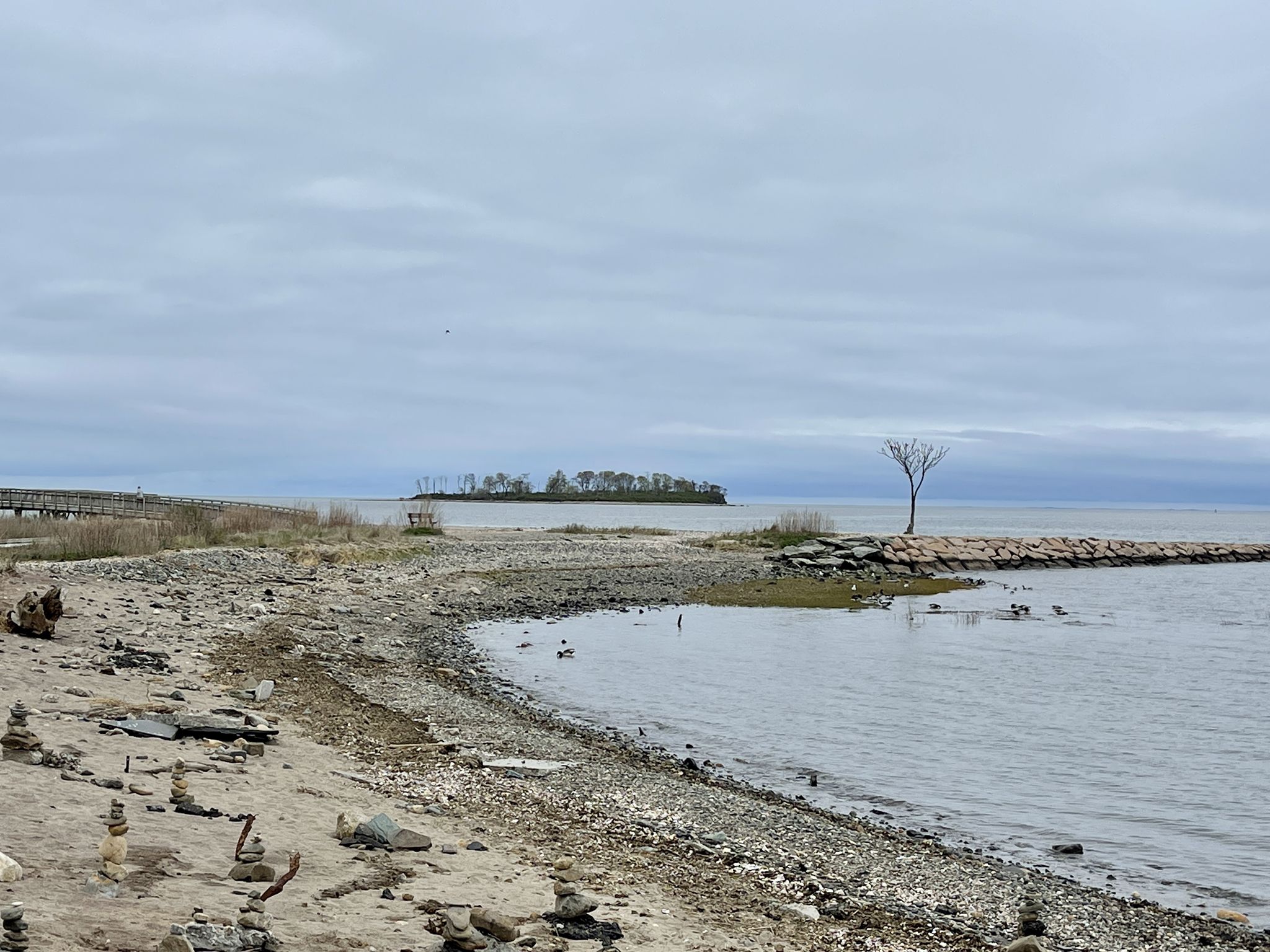 Rocky beach with calm water, distant island, and bare tree under cloudy sky. - Silver Sands State Park Beach – Silver Sands State Park Beach loop from Milford