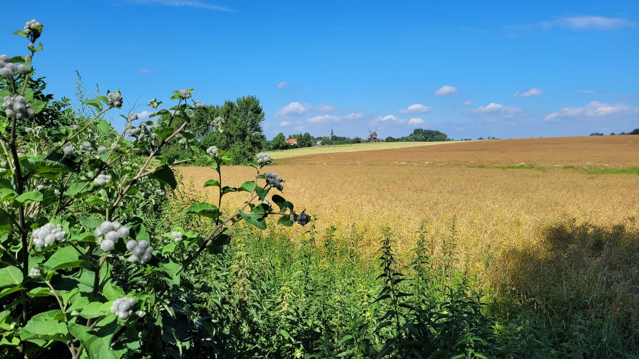 Ottleben