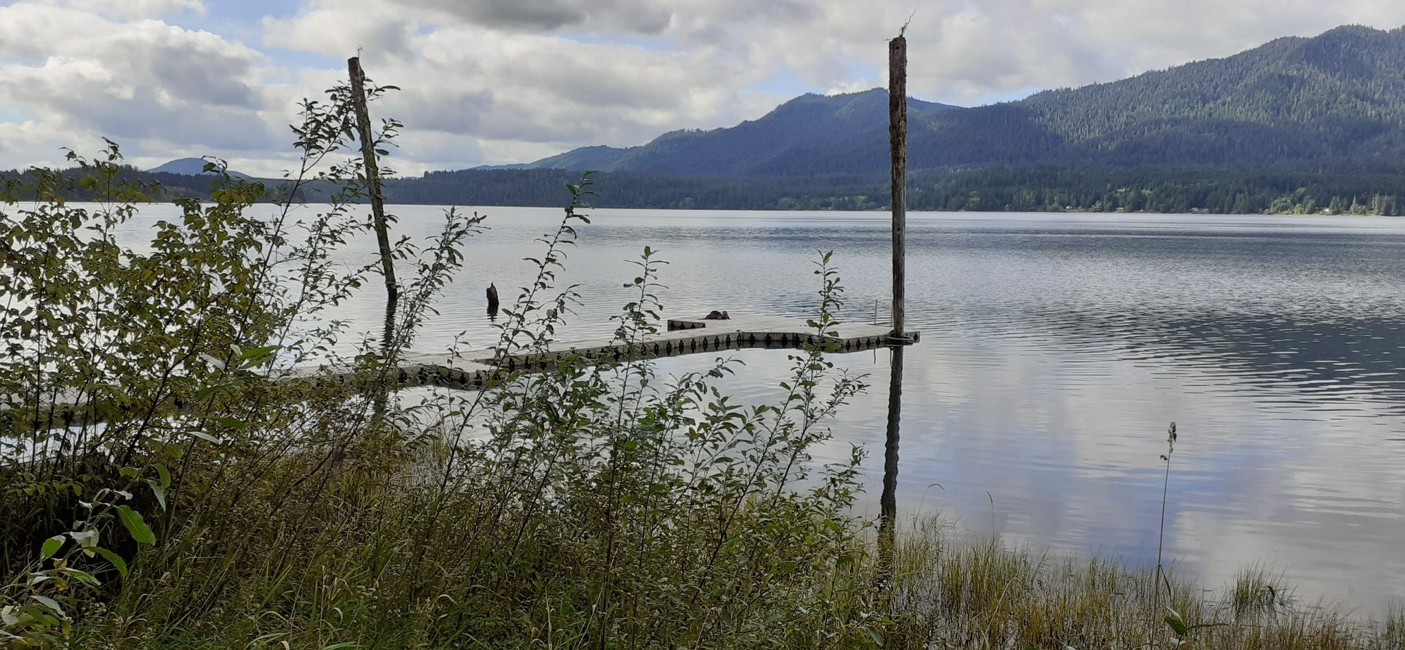 A calm lake with mountains under a cloudy sky, featuring a floating dock. - Quinault Loop Trail