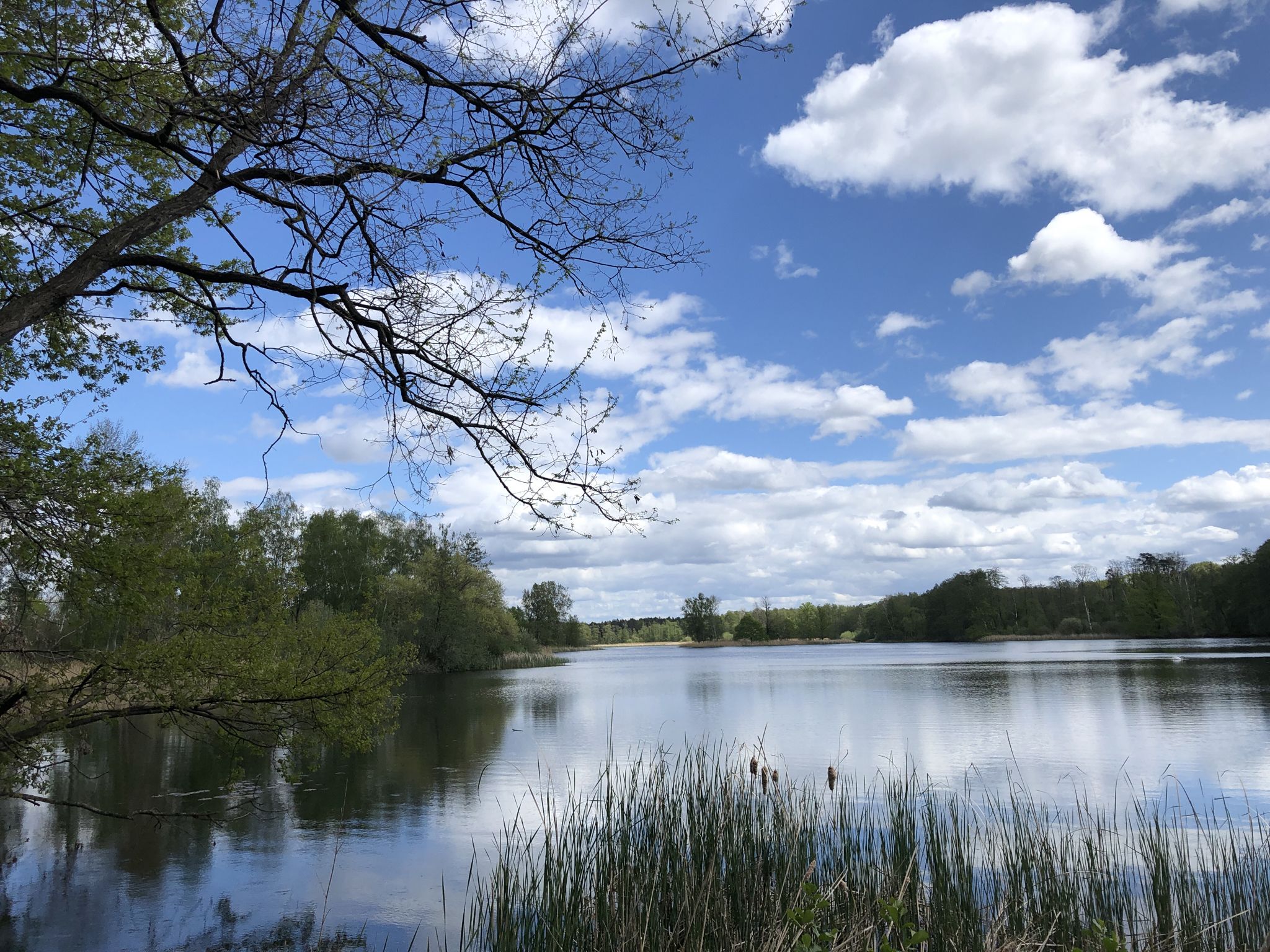 Theresienteich frauendorfer teichlandschaft