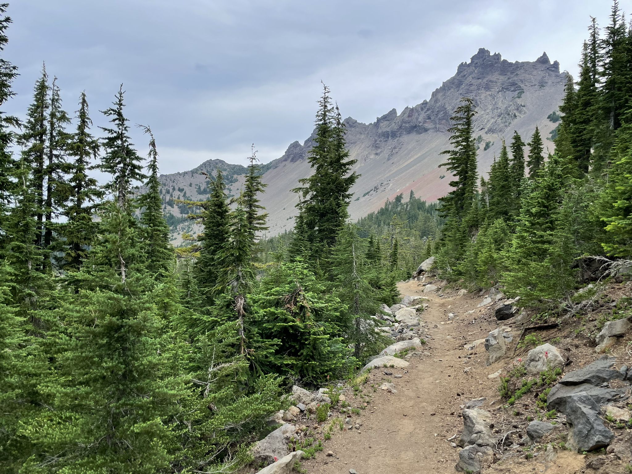 A dirt trail winding through evergreen trees with a rocky mountain backdrop. - Three Fingered Jack via Pacific Crest Trail
