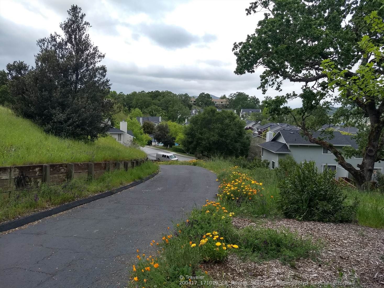 A paved road winds through a residential area with green hills and trees. - Running loop from Novato Creek