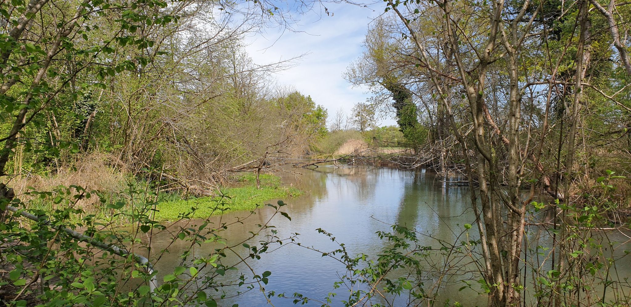 Le Muehlbach