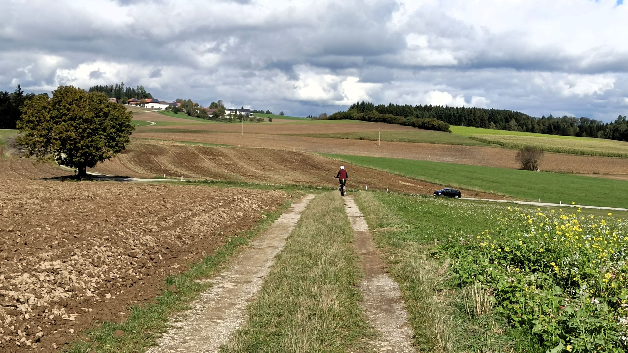 Der Kukuruz (Mais) ist geerntet, und so blickt man wieder angenehm weit ins Land hinein.