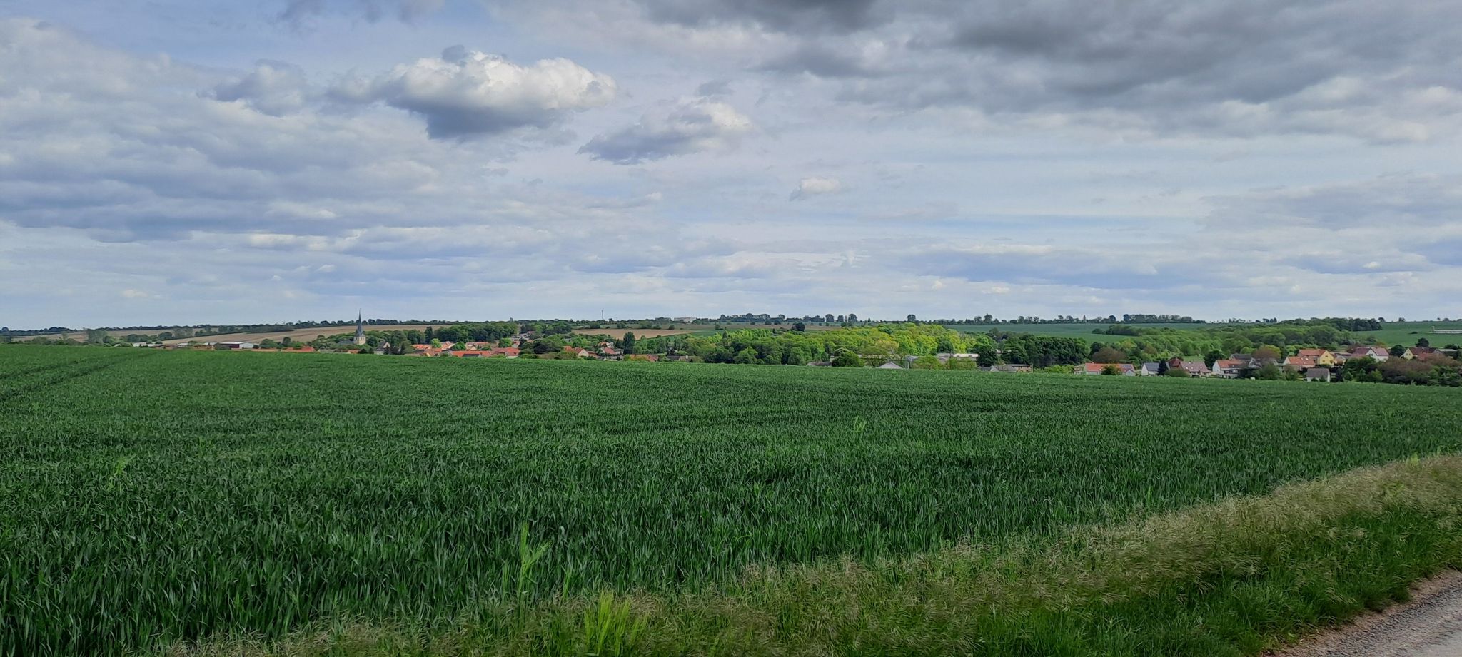 Blick auf Cochstedt