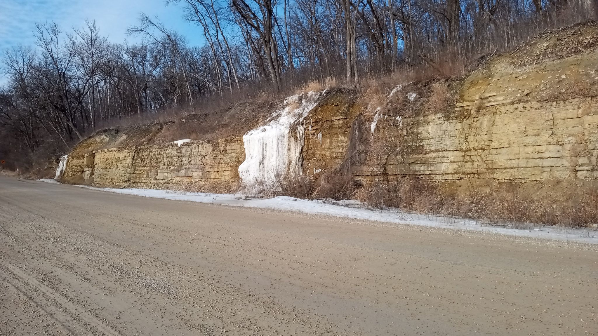 Dirt road next to a rocky cliff with ice formations and bare trees. - Zumbro and Maple Trail Loop