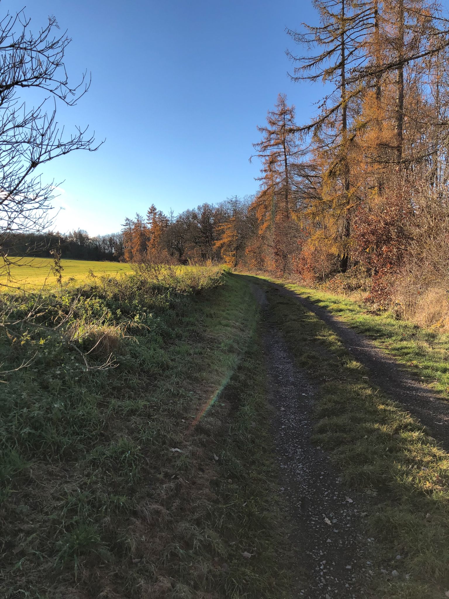 ab Plateau Festplatz Ziegelrode zum Festplatz Ahlsdorf