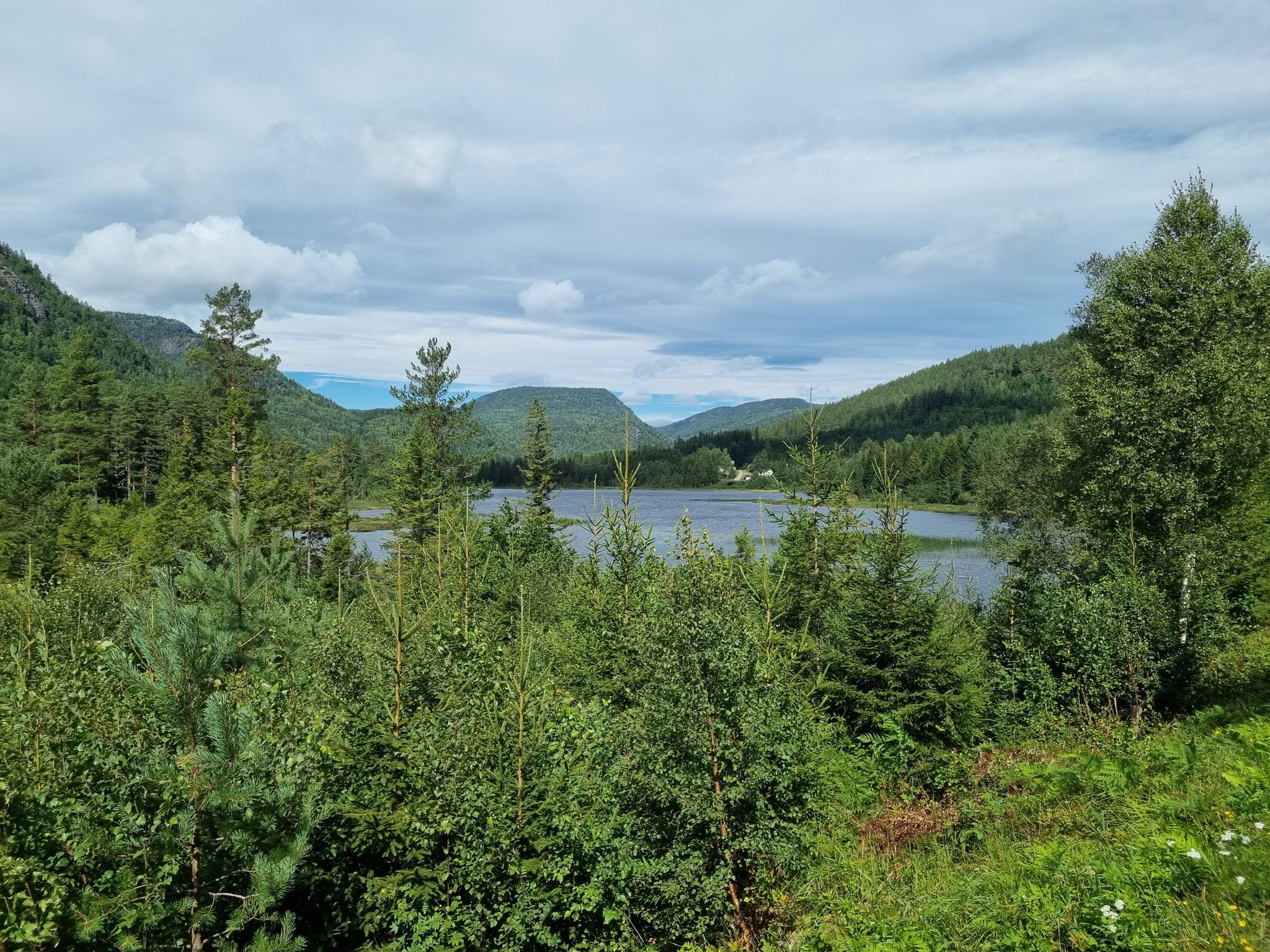 Nedre Singusdalvatnet