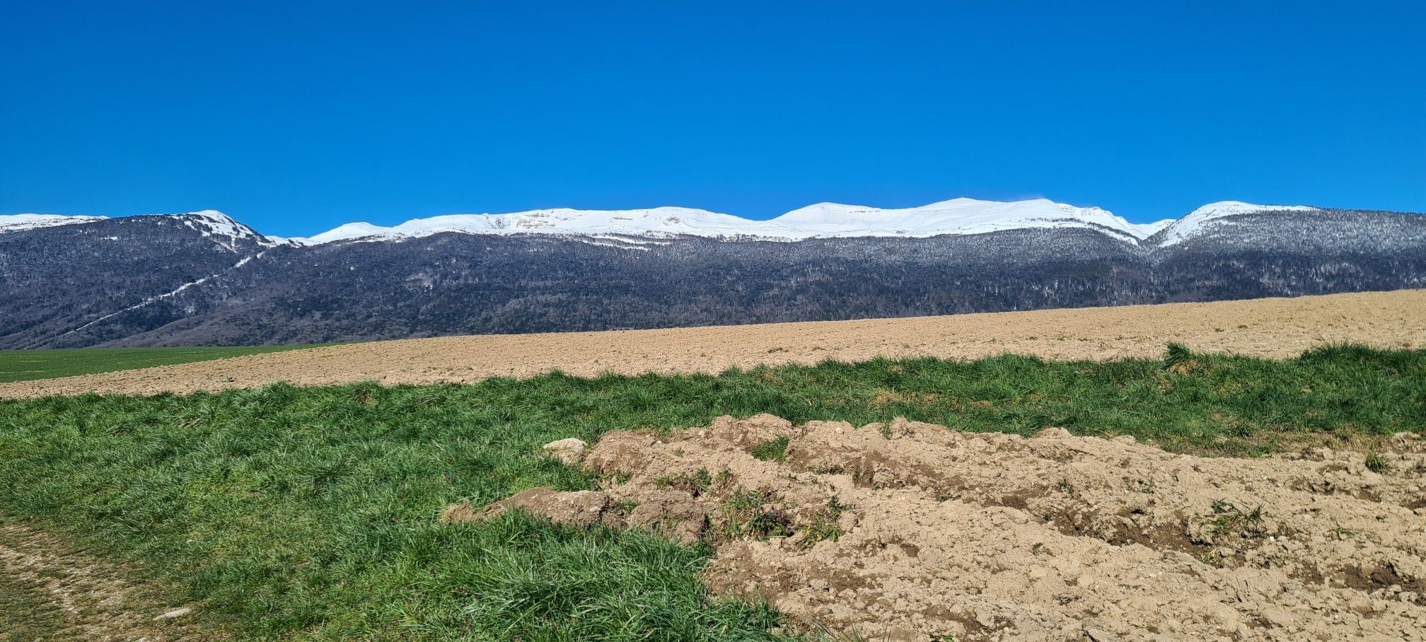 Mont Jura- Crozet