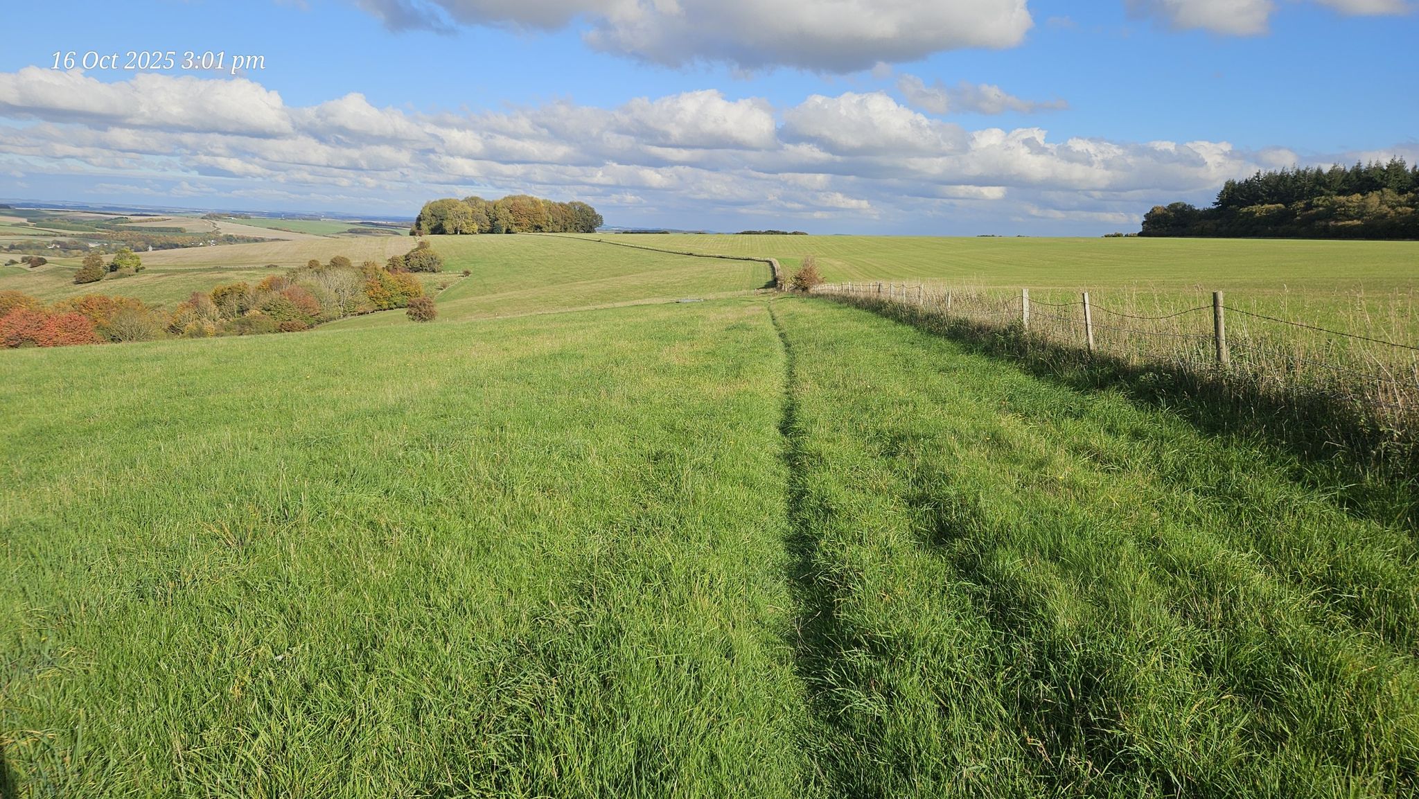 field path with gate access.