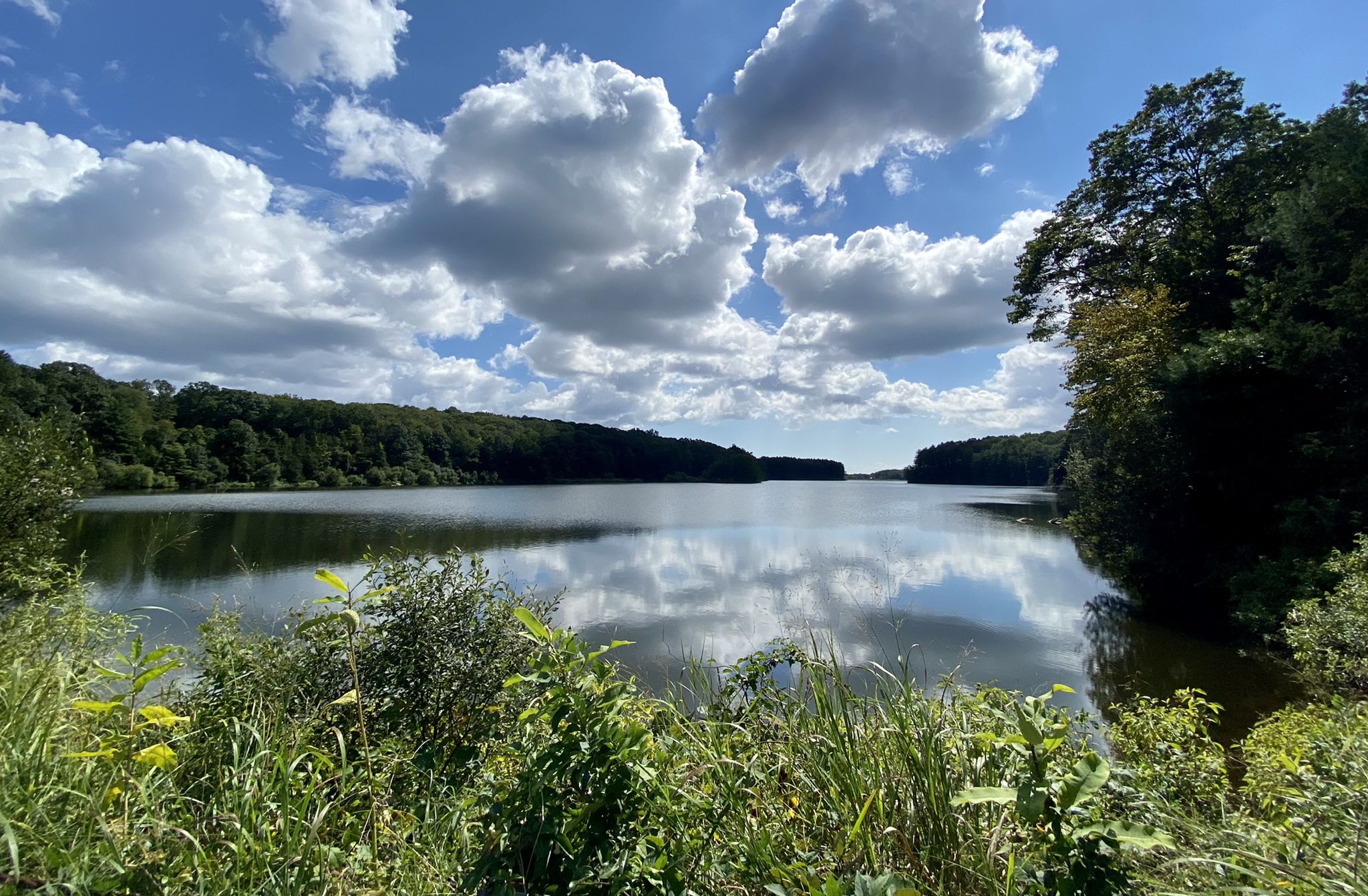 Wide lake reflecting cloudy sky, surrounded by lush green forest. - Siscowit & South Norwalk Reservoir loop