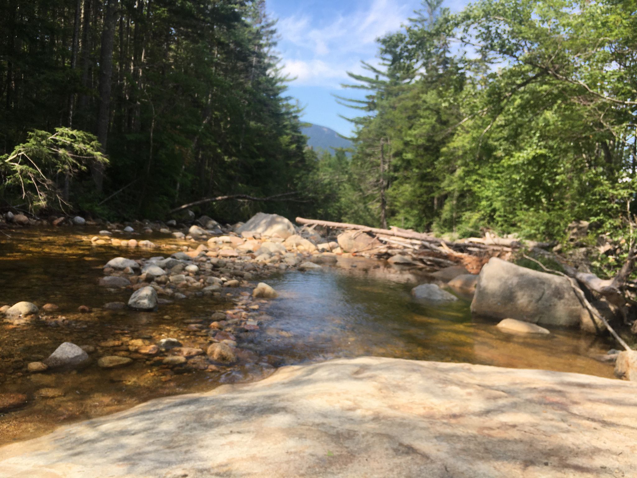 Rocky stream flowing through a dense green forest on a sunny day. - Kancamagus Highway Scenic Drive