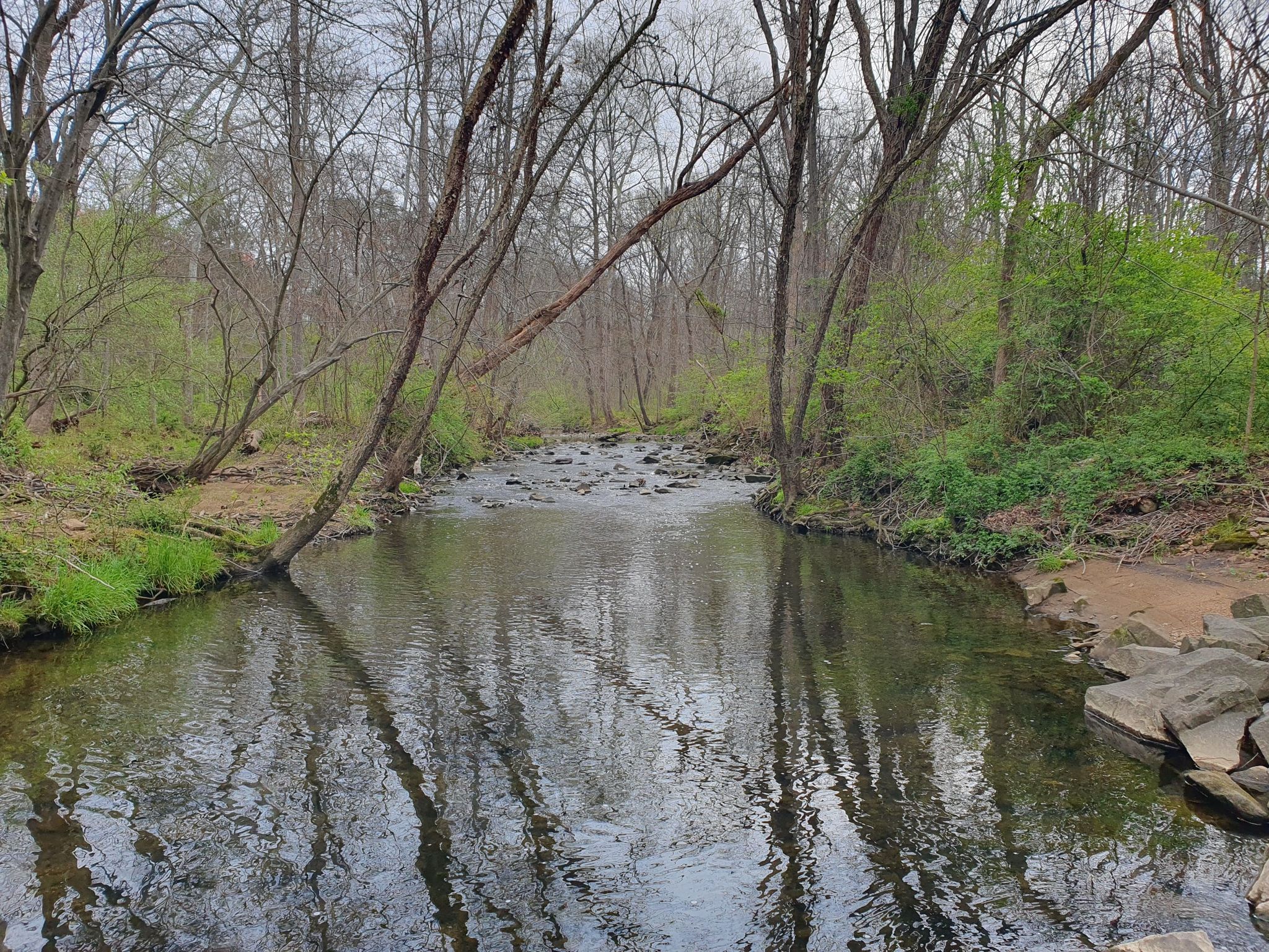 Calm stream reflecting bare trees under an overcast sky in a forest. - Sugarland Run Stream Valley Trail