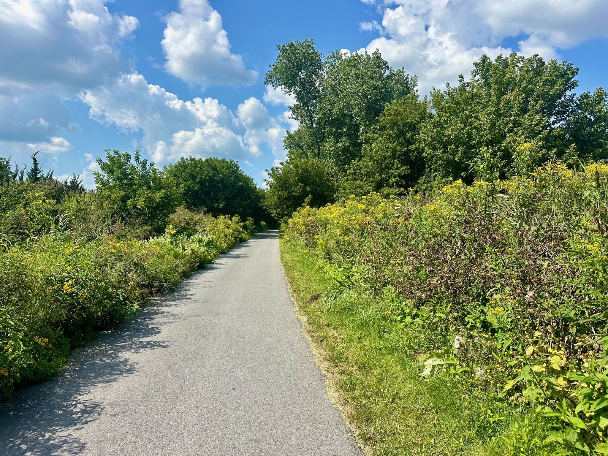 Paved path winding through lush green and yellow foliage under a bright blue sky. - Onodaga Lake – Onondaga Lake (West Shore) loop from Emergency room parking