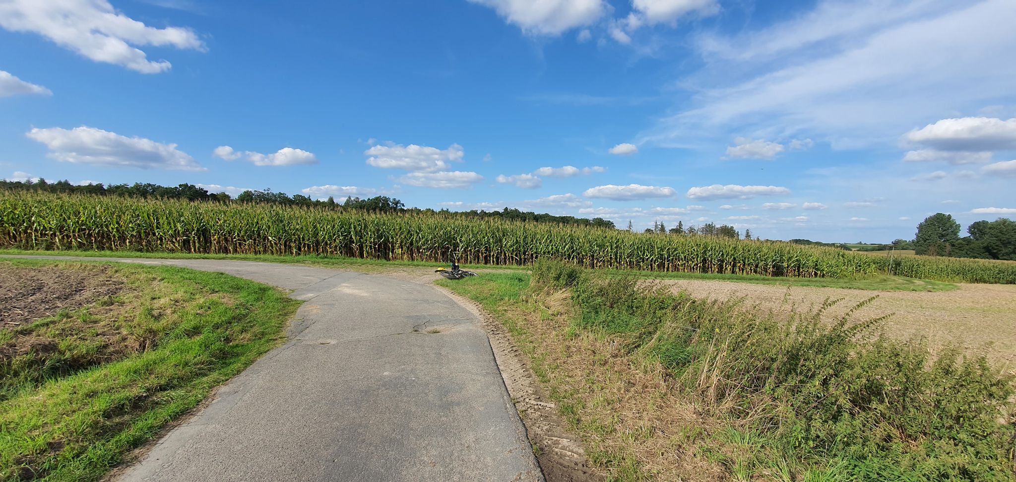 links gehts zur Liebes Eiche - wir fahren rechts lang