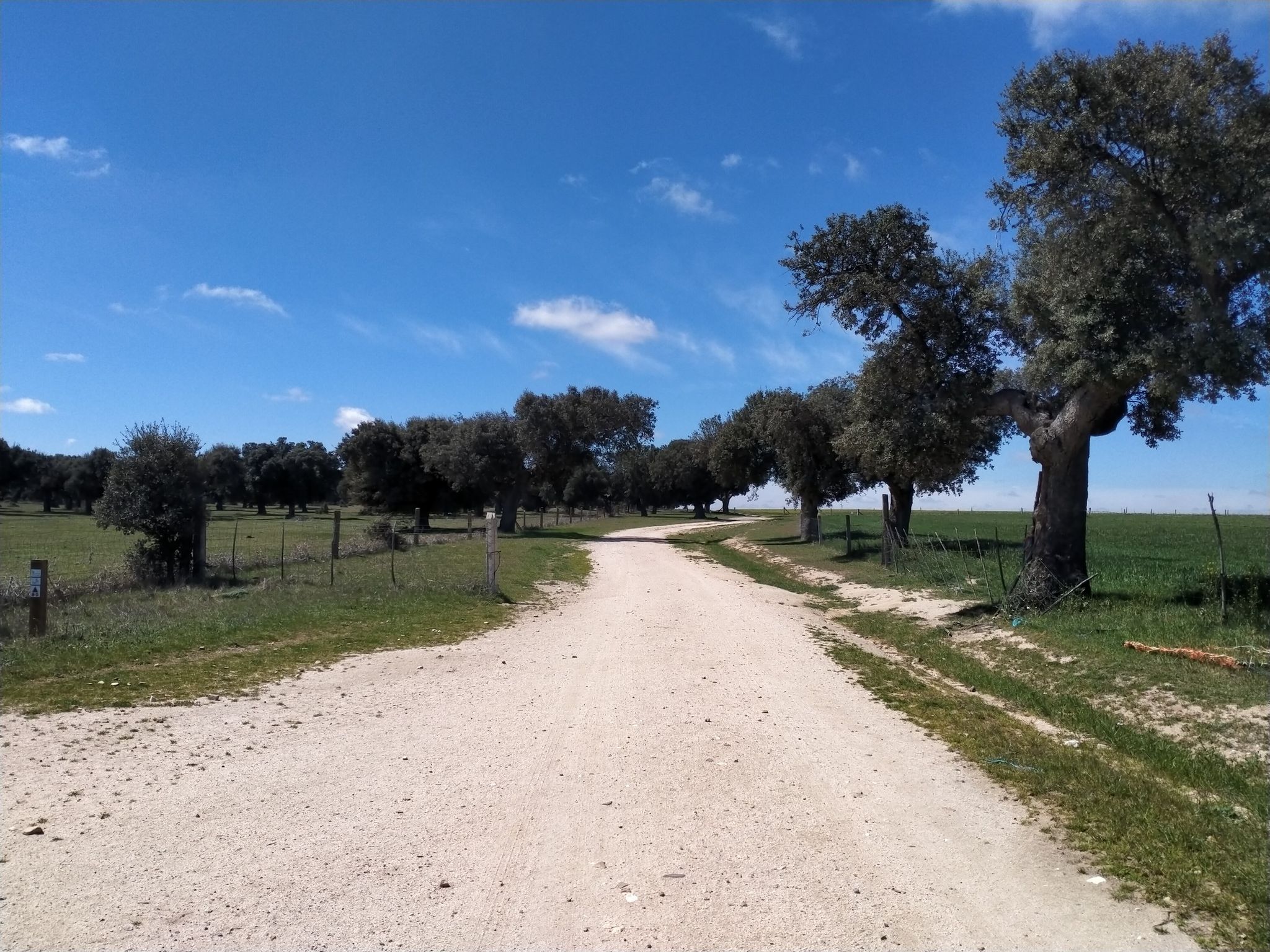 La dehesa