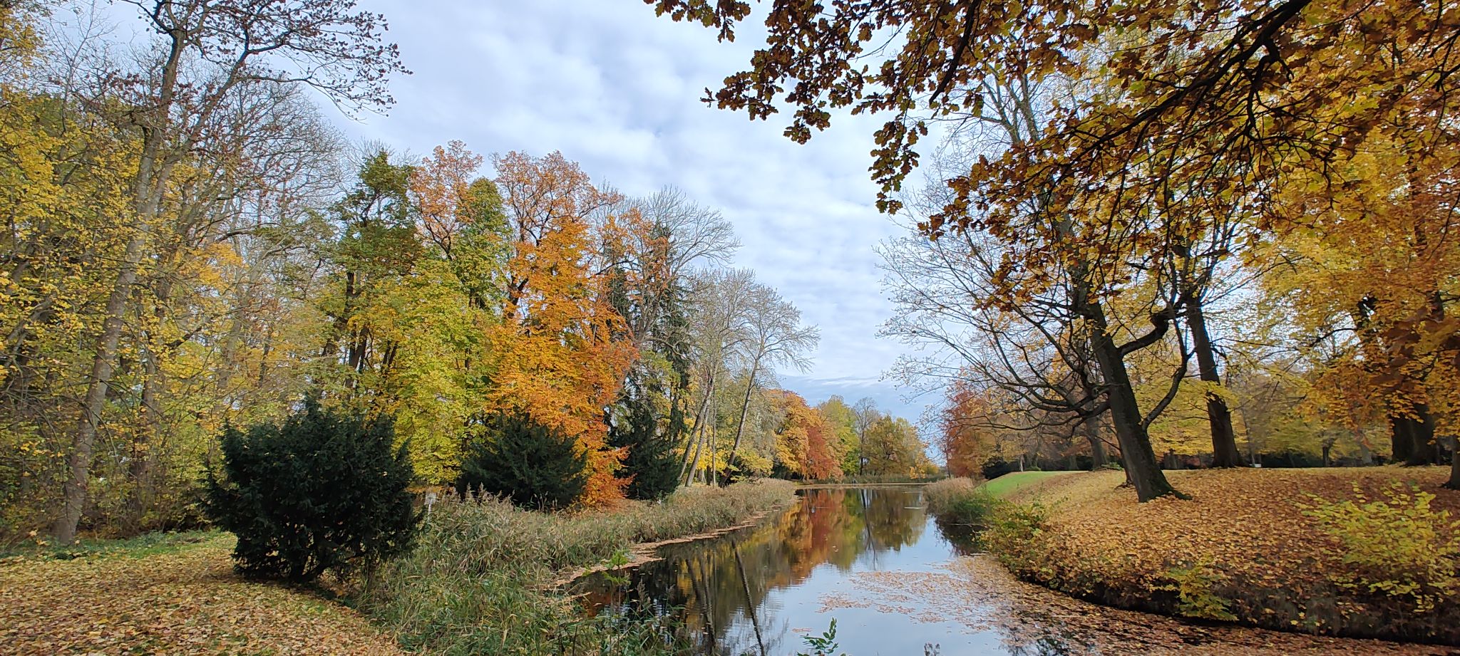 Im Schloßpark
