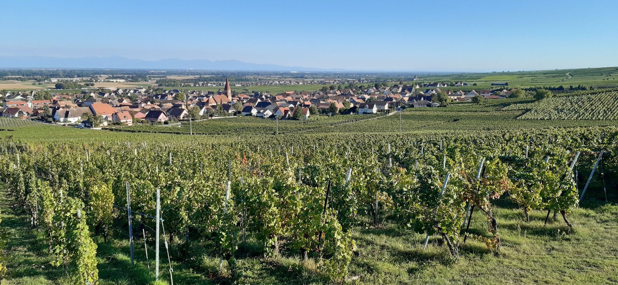 Wettolsheim