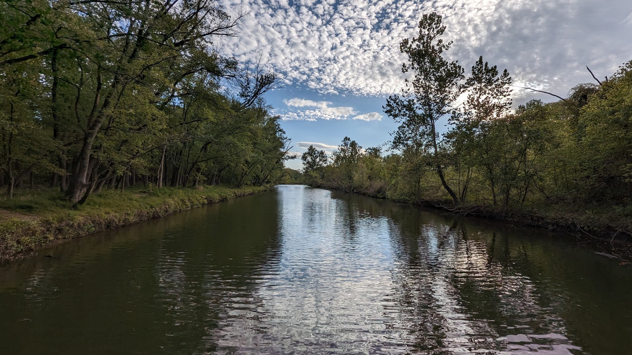 Calm river flowing between dense green trees under a bright, cloudy sky. - Mallard Lake Loop Trail