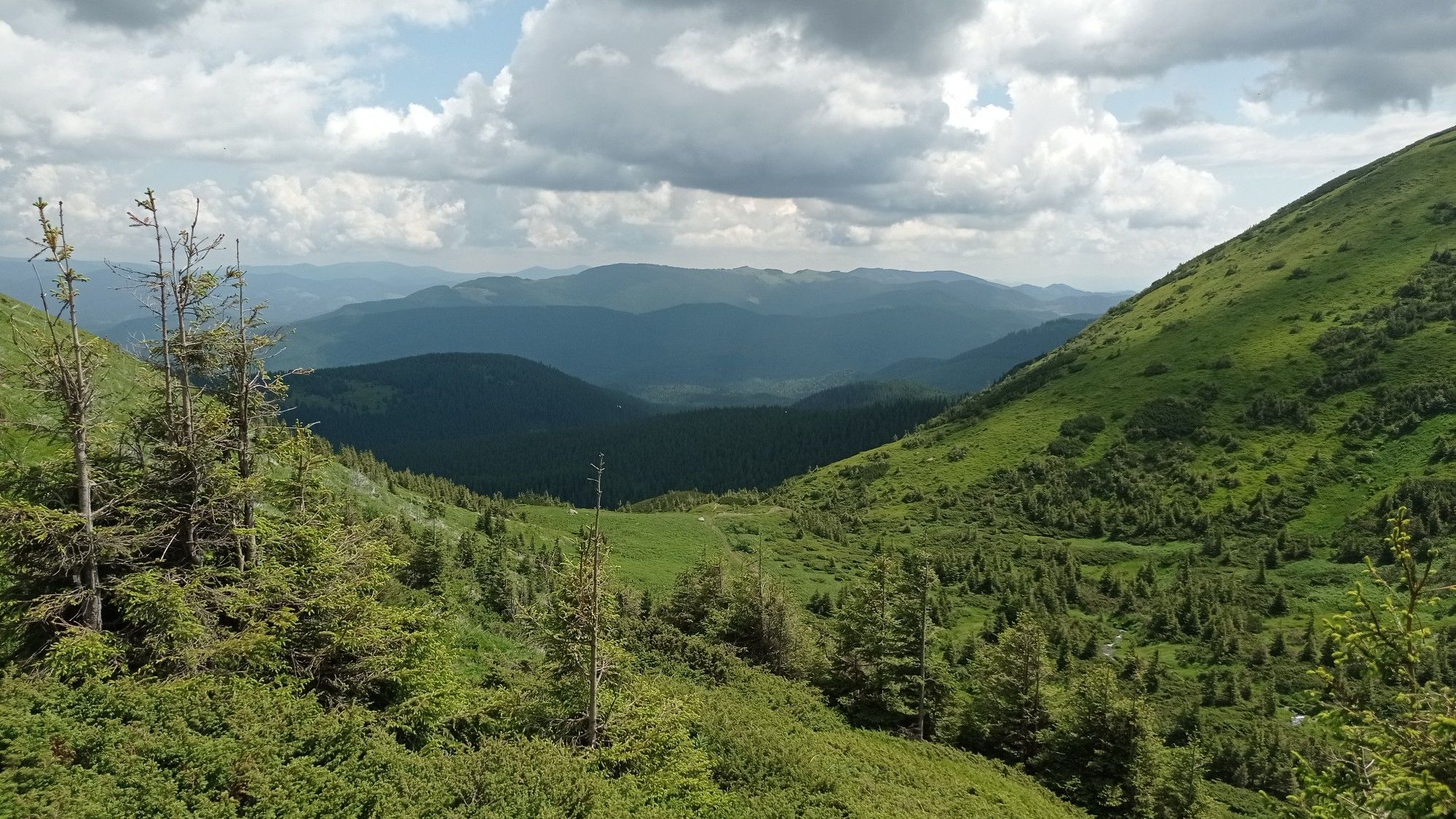 viewpoint