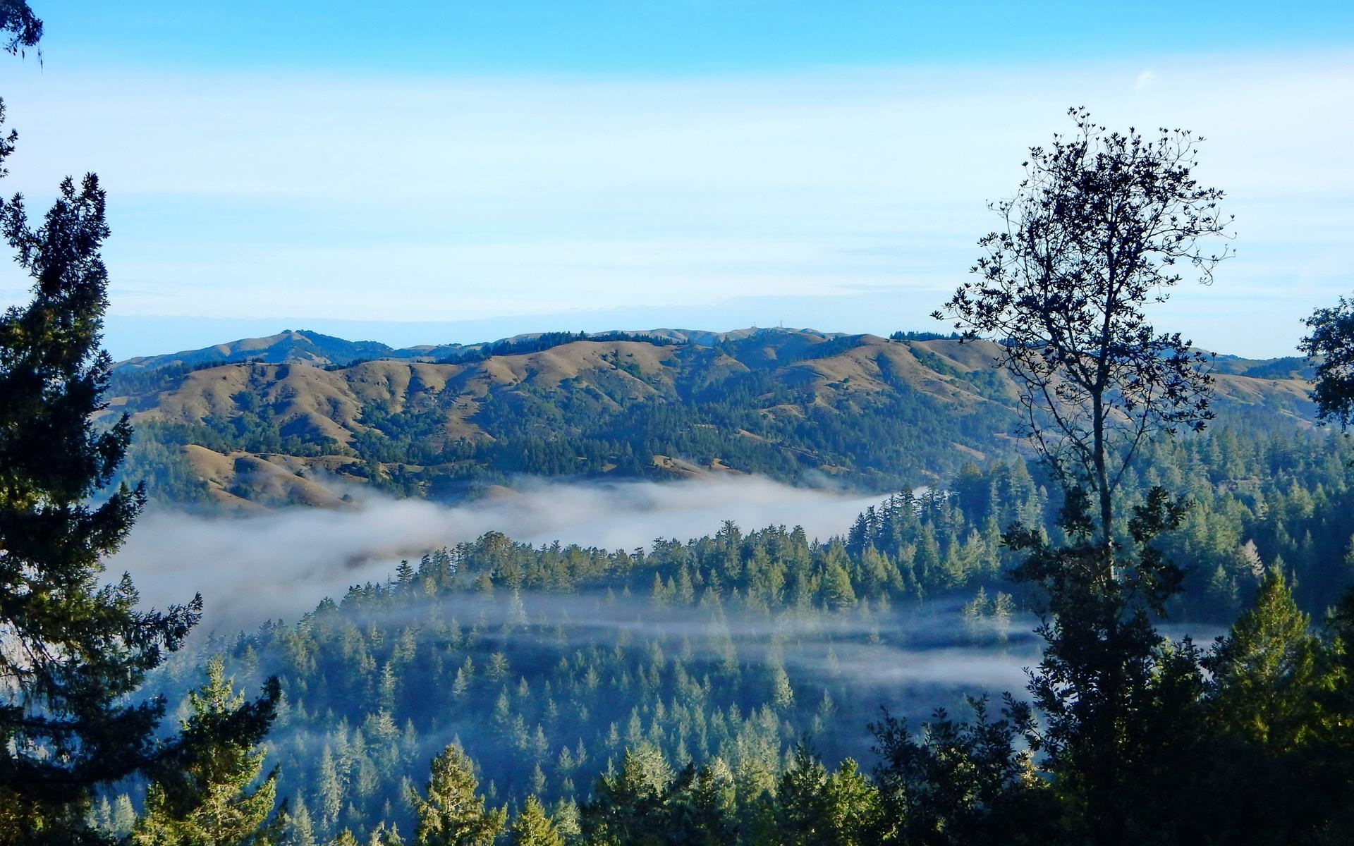 Foggy valley with evergreen trees and distant mountains under a clear blue sky. - Kent Lake via Candalero Canyon Loop