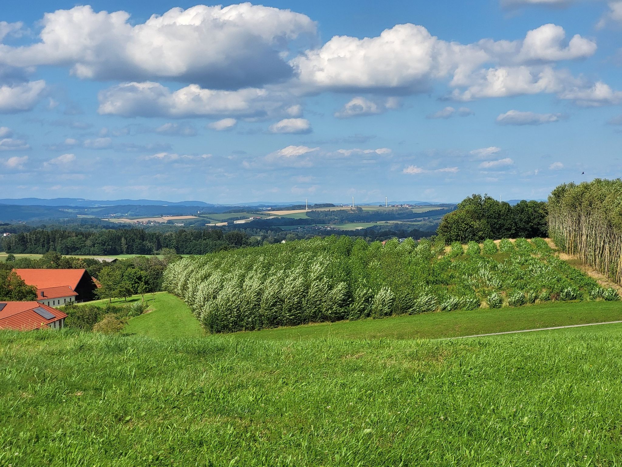Weitblick von Jebing