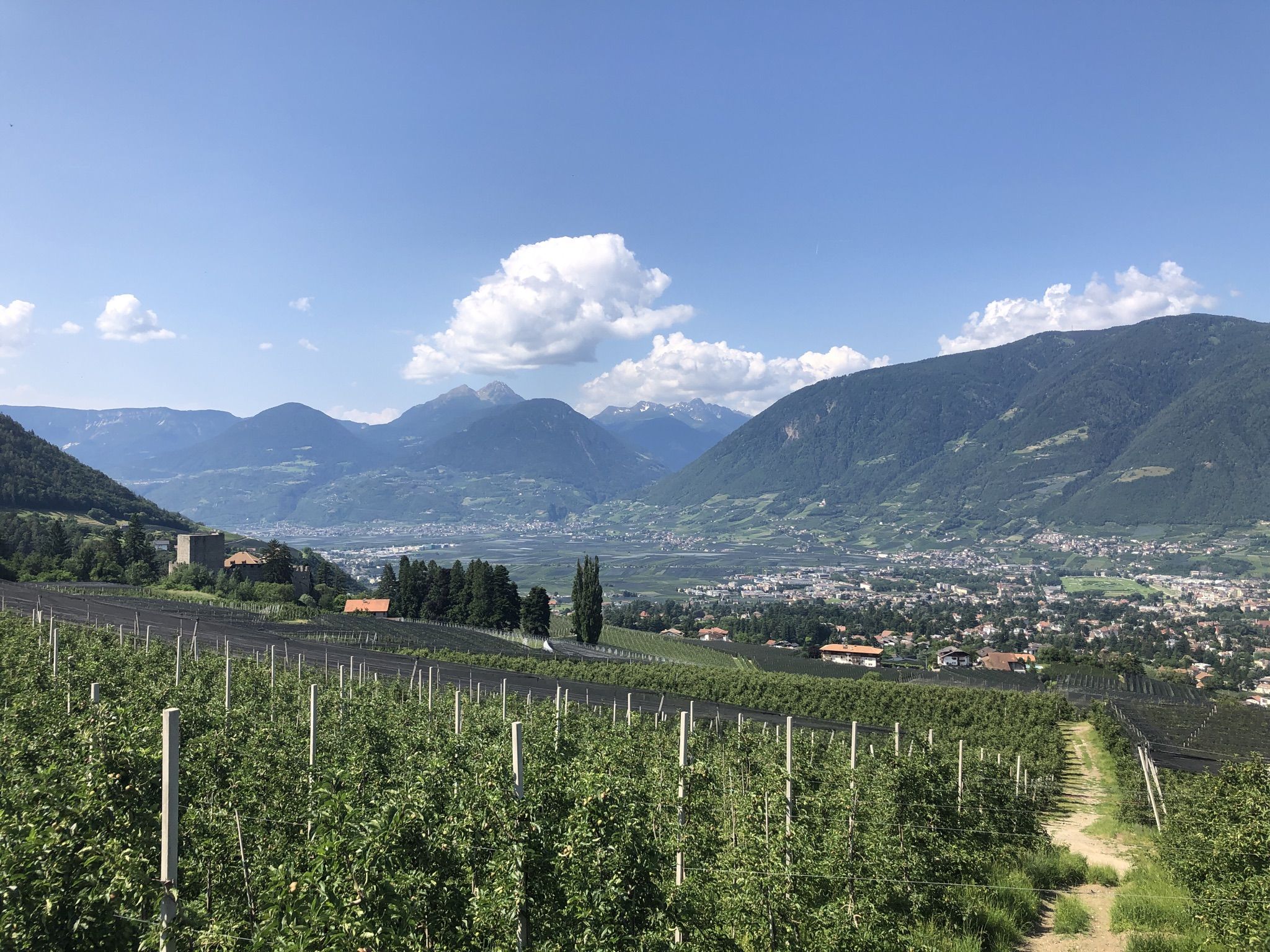 Ausblick auf Meran