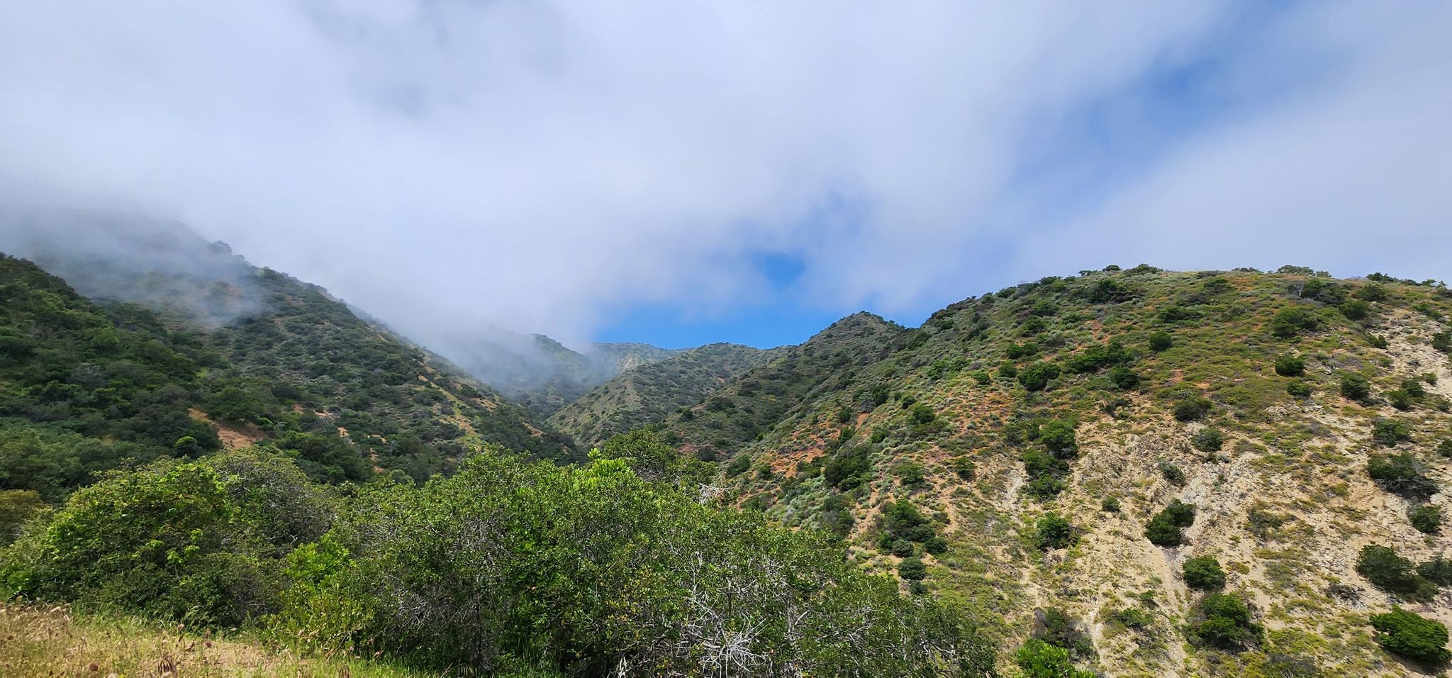Green, rugged mountains partially shrouded in mist under a cloudy sky. - Garden to Sky Trail