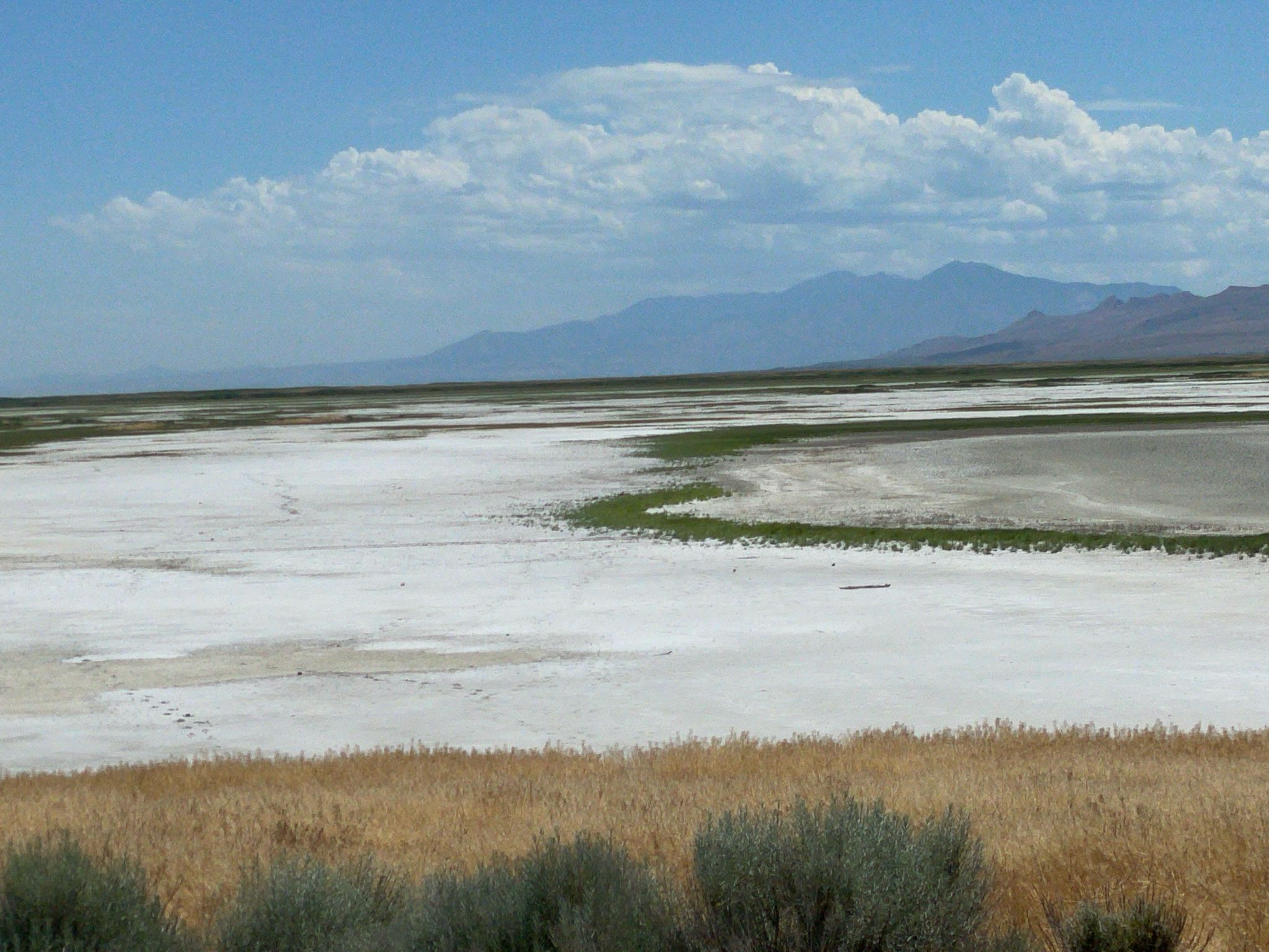 Expansive salt flats with green patches, distant mountains under a cloudy sky. - Antelope Island State Park from Syracuse