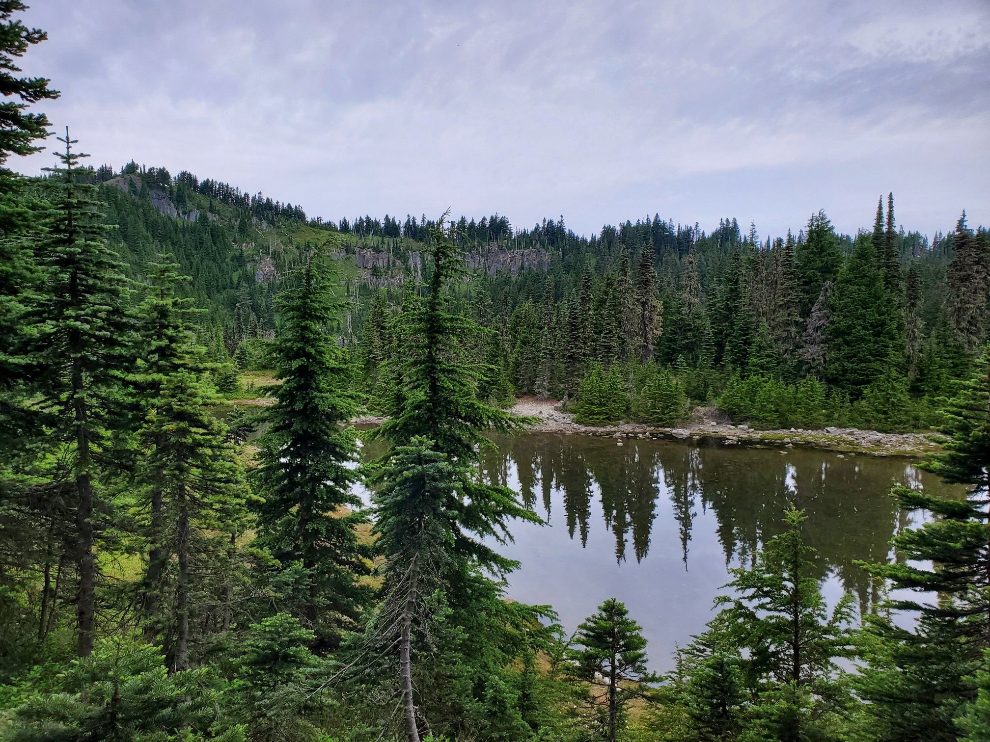 Overcast view of a calm forest lake reflecting surrounding evergreen trees. - Summit Lake Trail