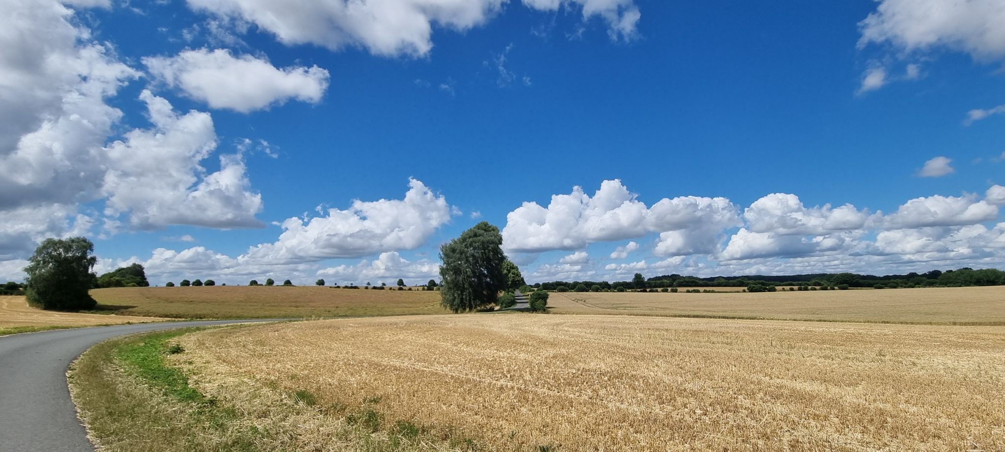 Erstklassiger Radweg! 😀