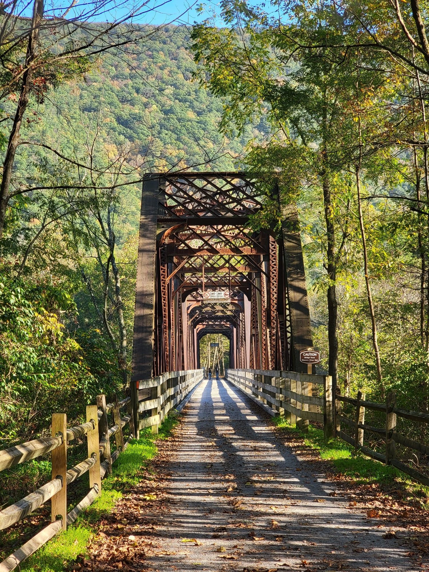 Sunny path leading to an old metal truss bridge through a vibrant green forest. - Little Pine Lake – Vista loop from Little Pine State Park