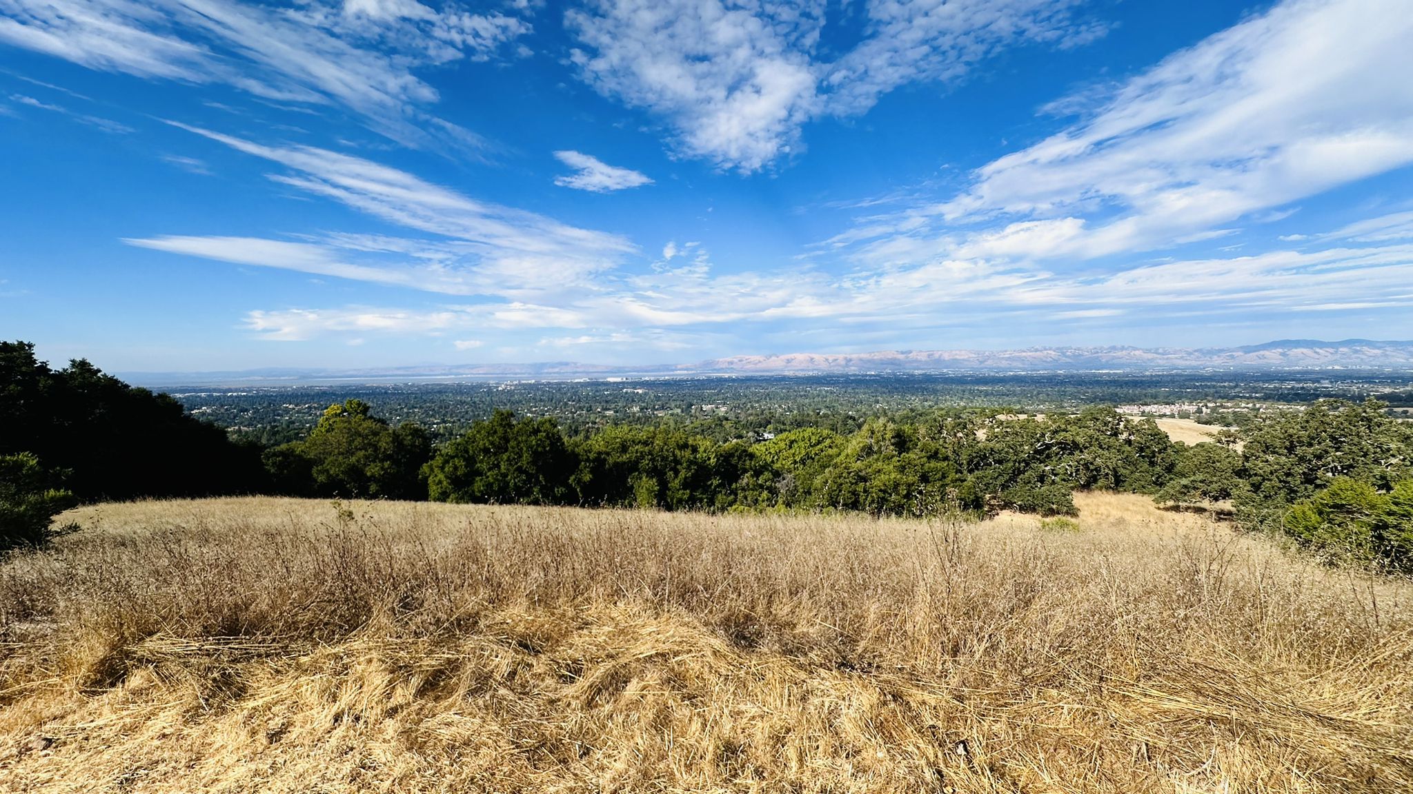 Sunny panoramic view over a valley with dry grass and distant city. - Wildcat Loop Trail