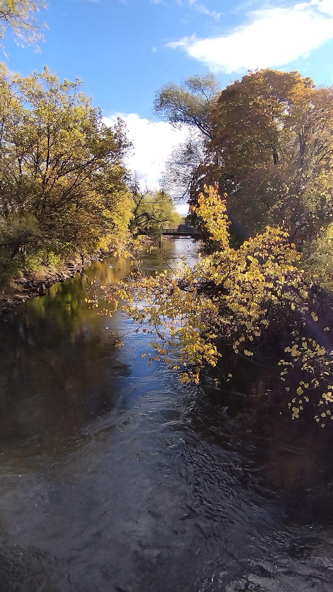 Sunny river flowing through autumn trees with bright foliage. - Traverse City – DeYoung Natural Area loop from Traverse City