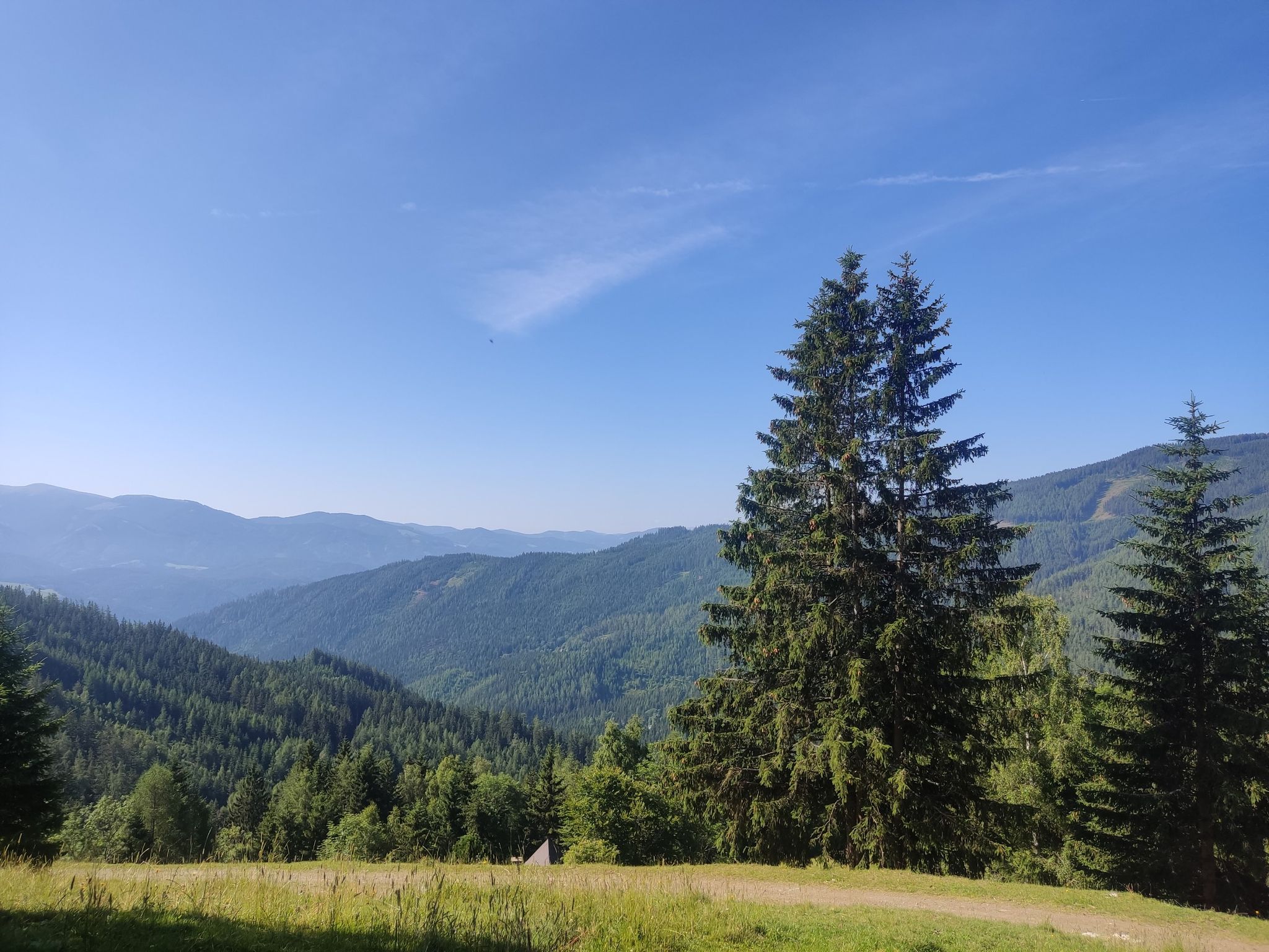 weiglmoaralm
