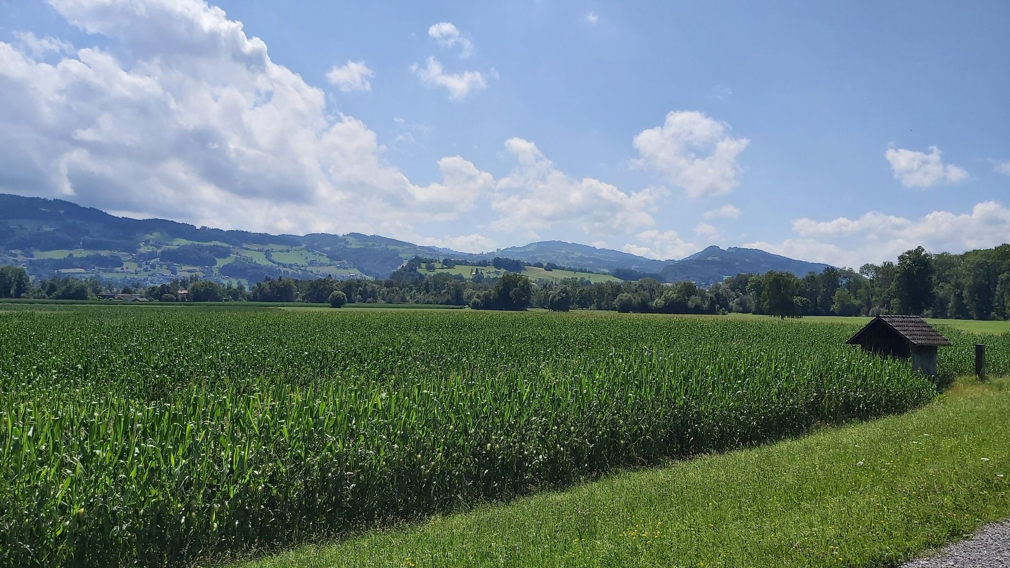 Schweiz