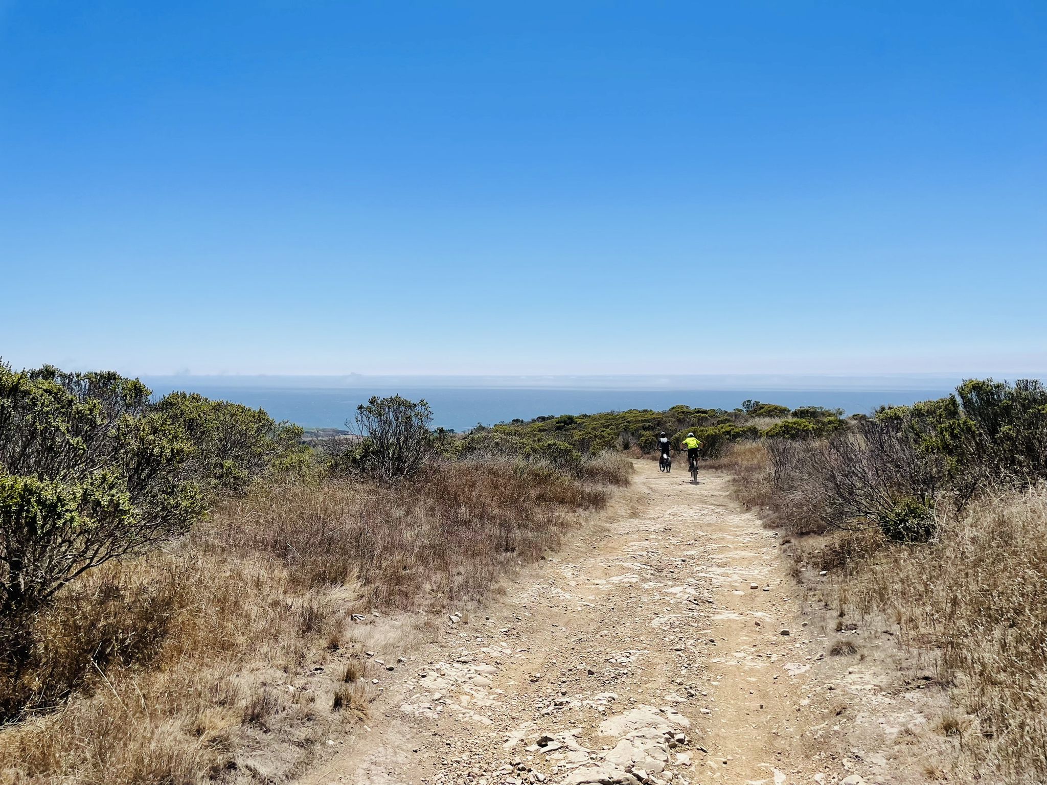 Two distant cyclists on a dirt path through dry brush with ocean horizon. - Eucalyptus Loop Trail – Bonny Doon Beach loop from Natural Bridges State Marine Reserve