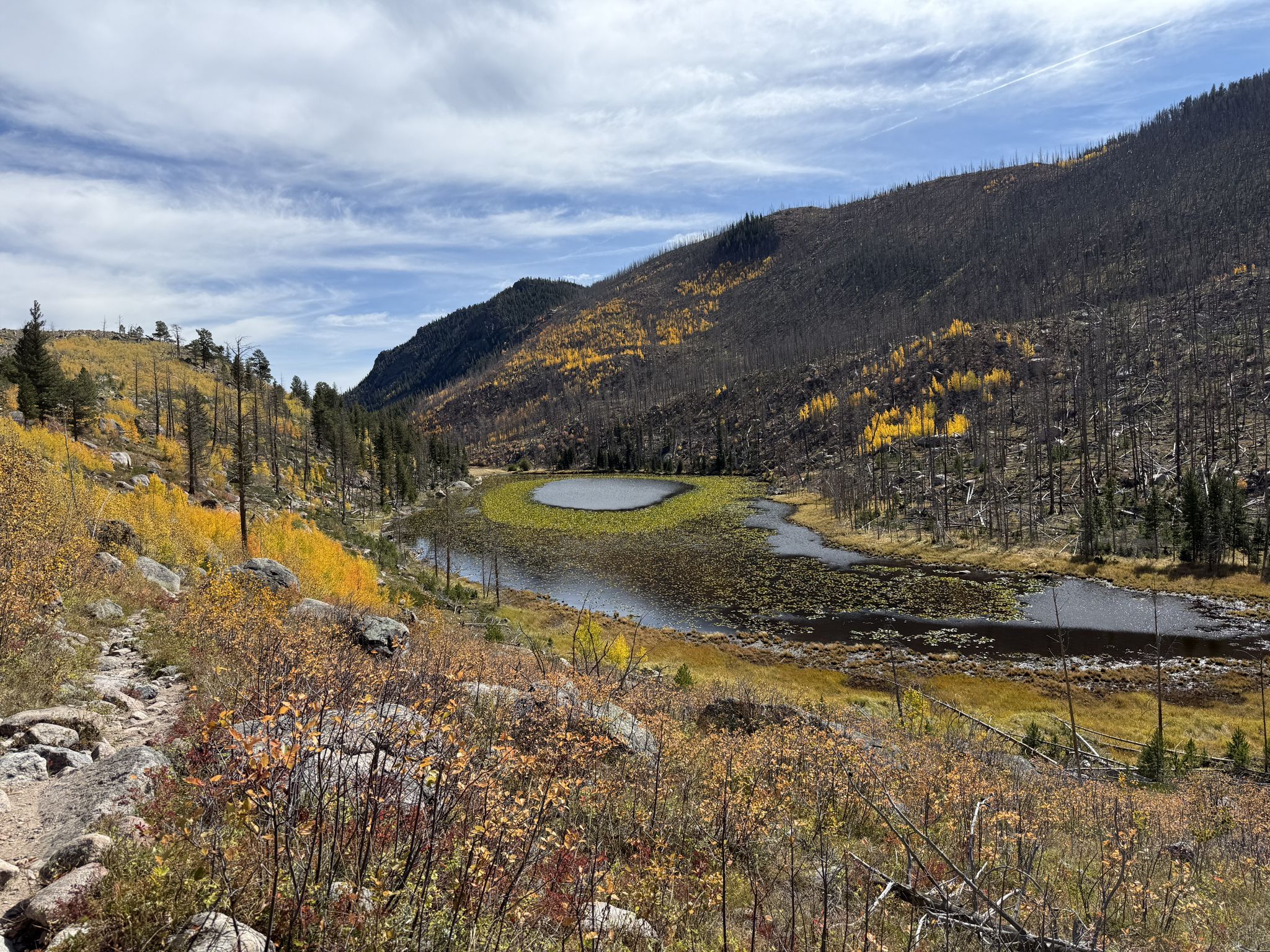 Mountain valley with pond, burnt trees, and autumn foliage under cloudy sky. - Fern Falls – Cub Lake loop from Loop C