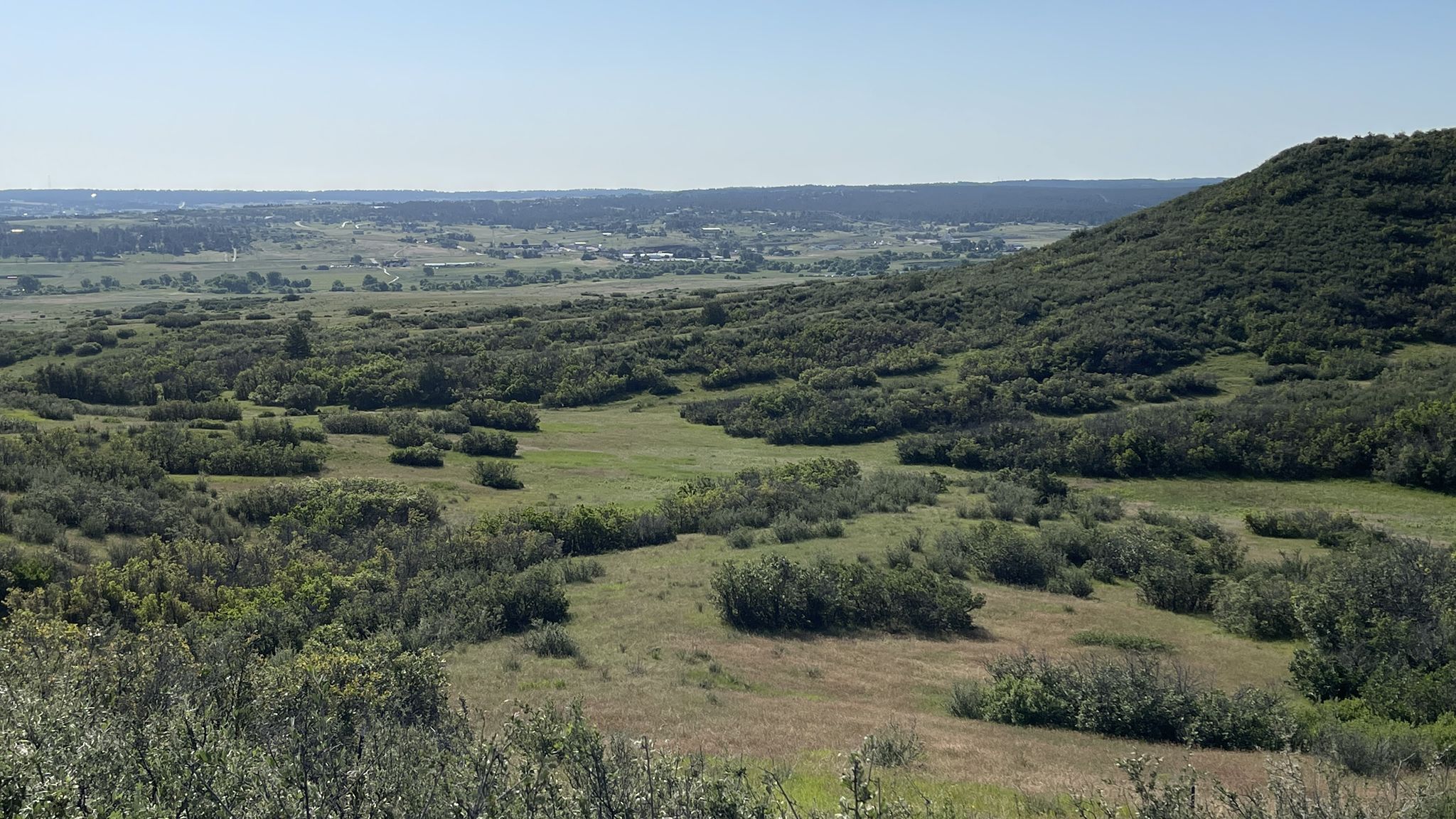 Expansive green valley with scattered bushes and distant flatlands under clear sky. - Bike loop from Castle Rock