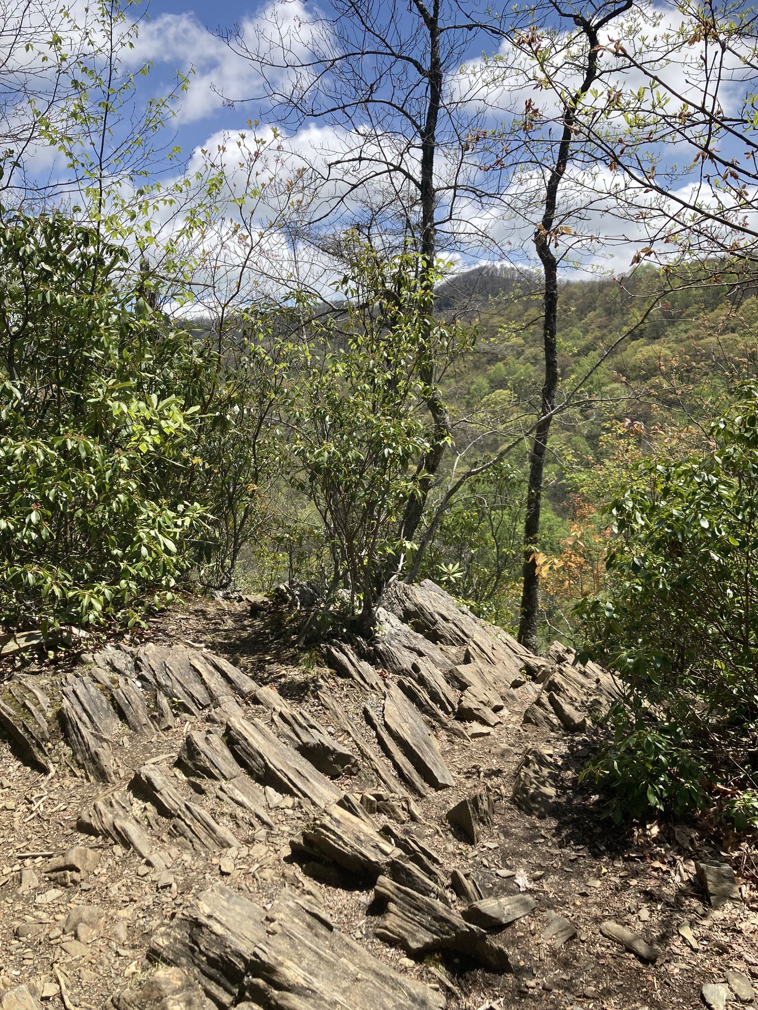 Rocky foreground with trees and distant green mountains under a bright sky. - Crabtree Falls Loop Trail
