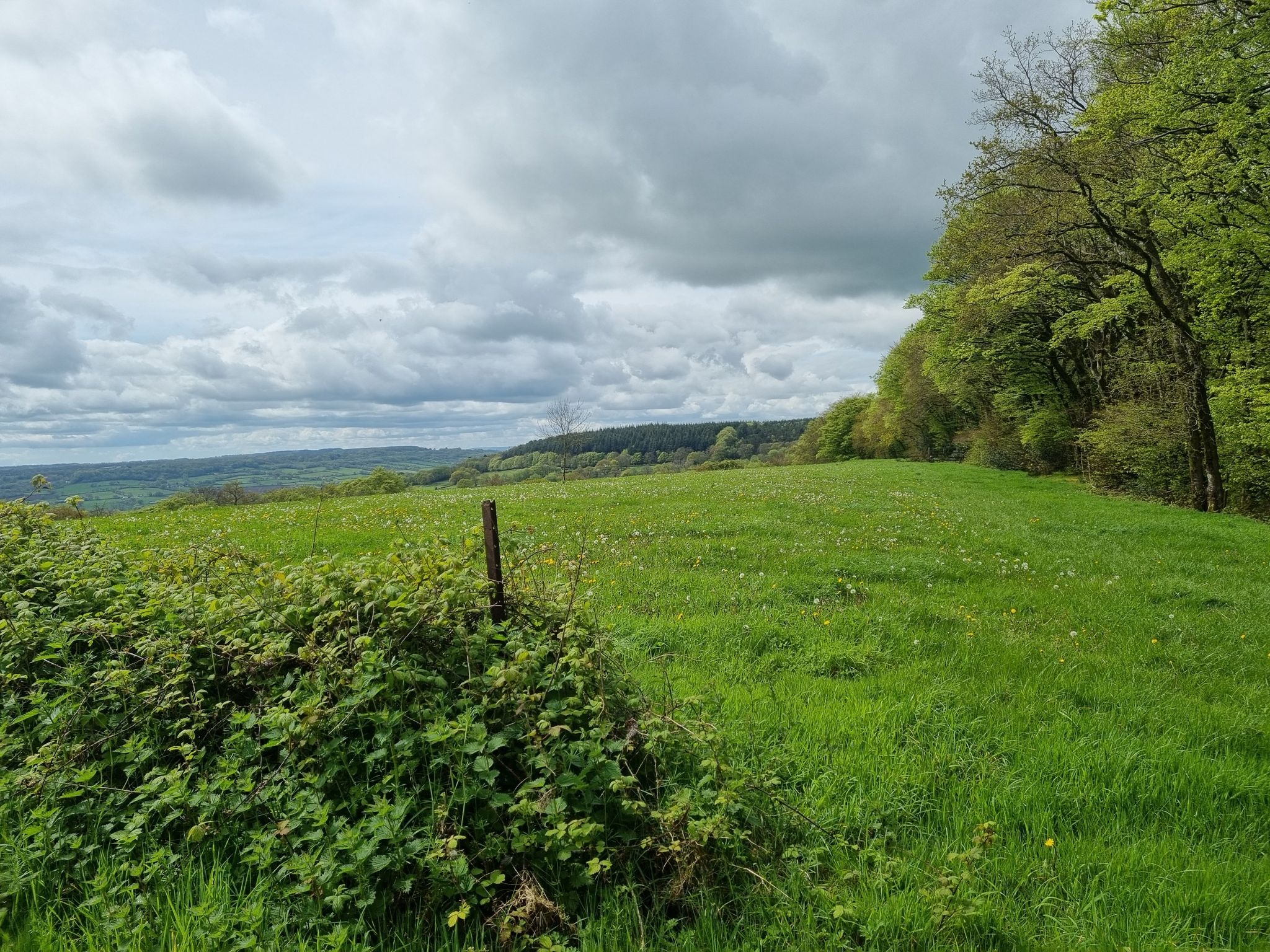view after Wellington Monument