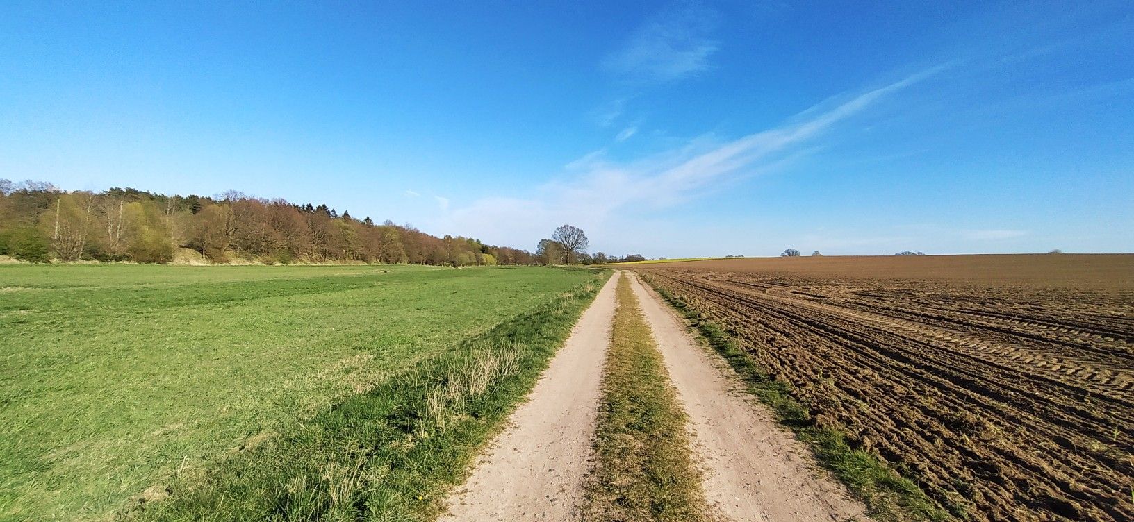 Alter Gutsweg hinter Müssen