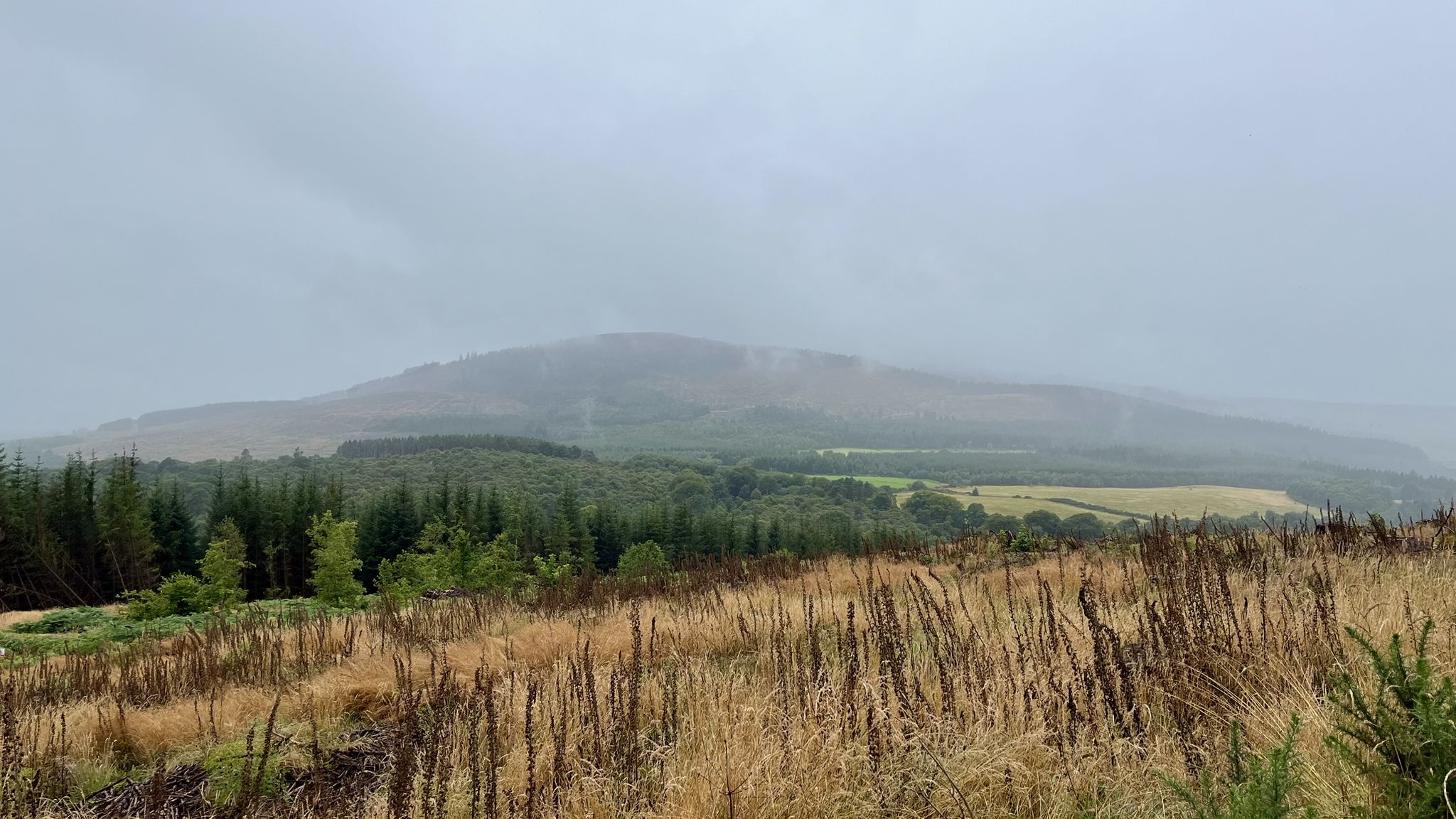 Pitfichie Hill