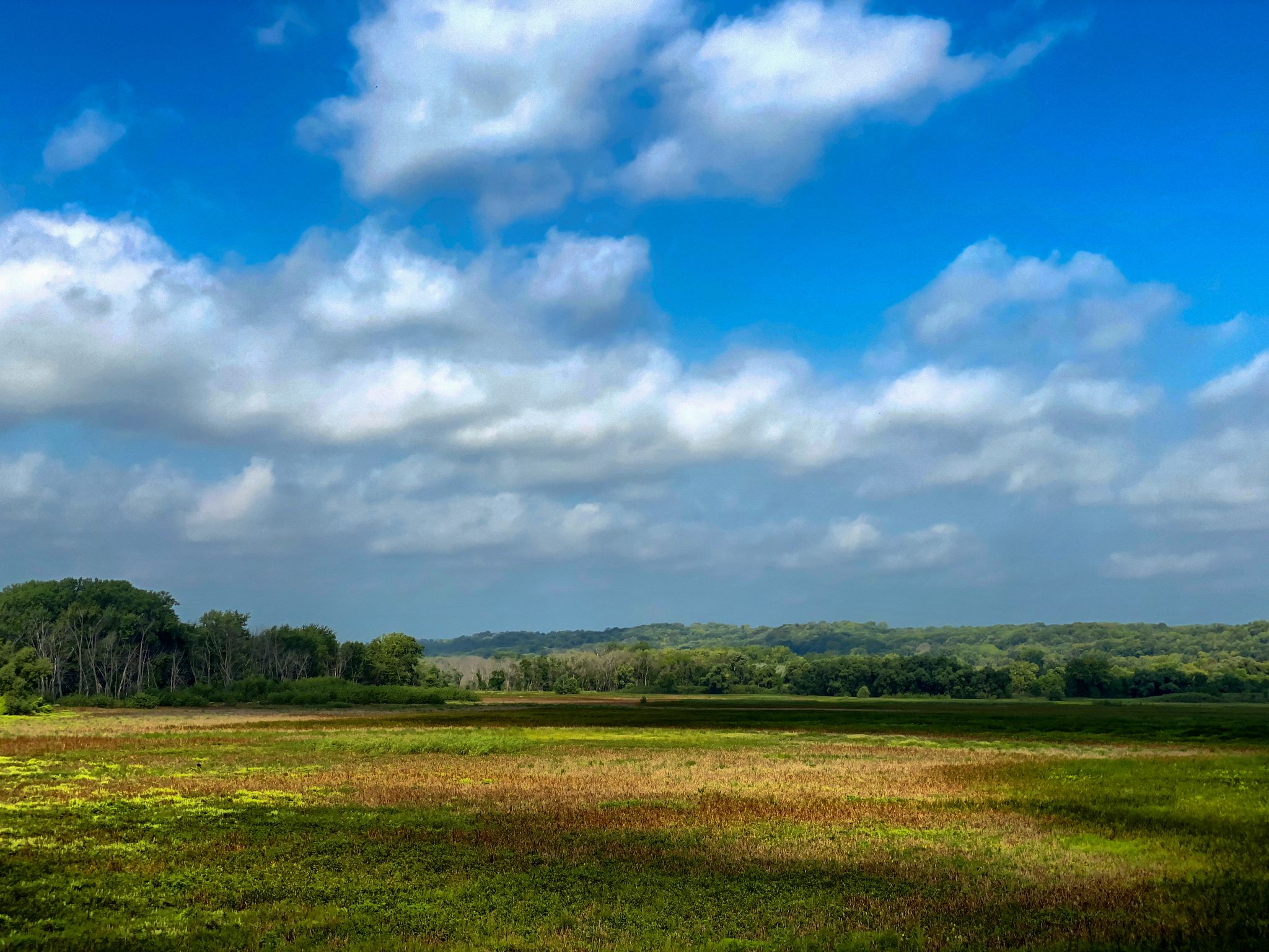 A wide open field with a distant treeline under a cloudy blue sky. - East side fishing pier – Nature Center loop from Town Center