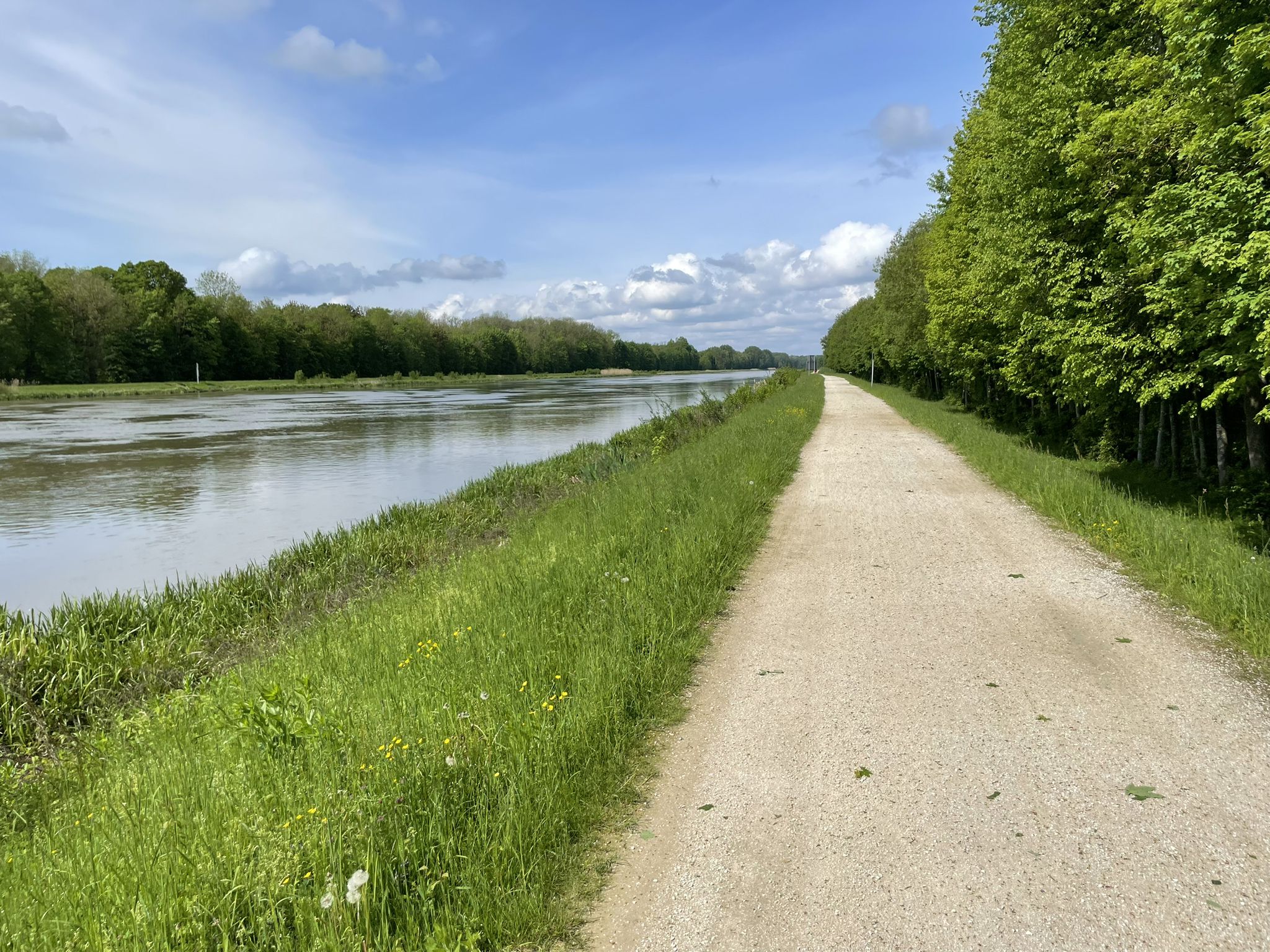 Donau 😍😍😍
