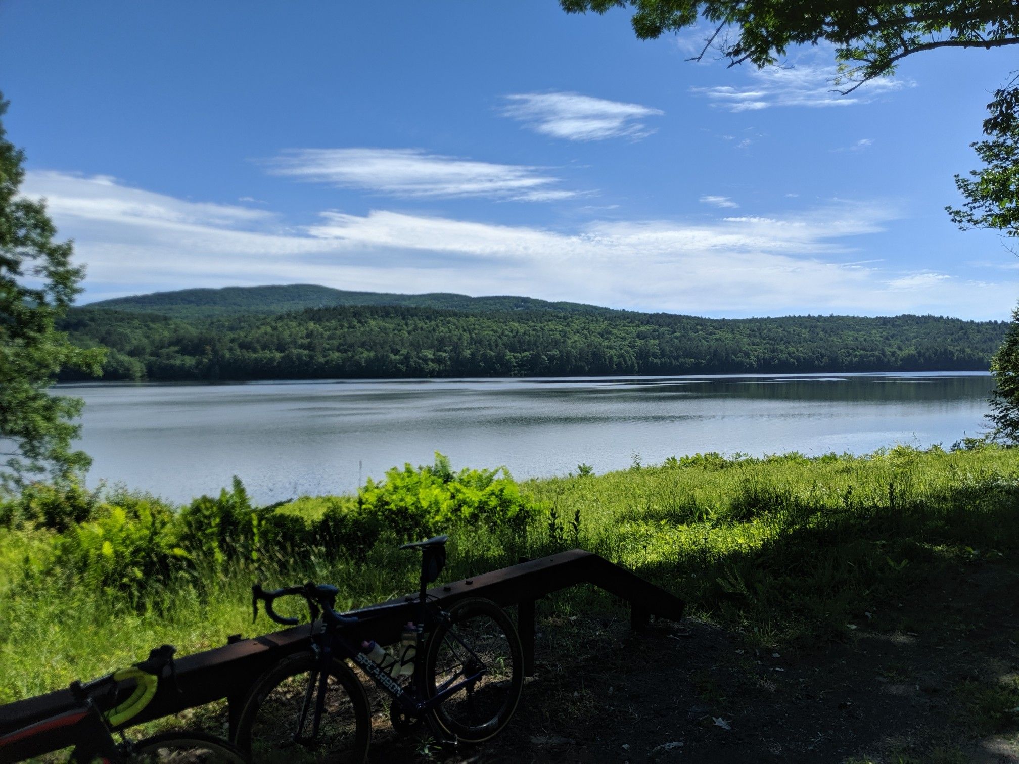 Sunny view of a calm lake with forested mountains, a bicycle parked nearby. - Bald Eagle Viewing Area – Bald Eagle Viewing Area loop from Grahamsville