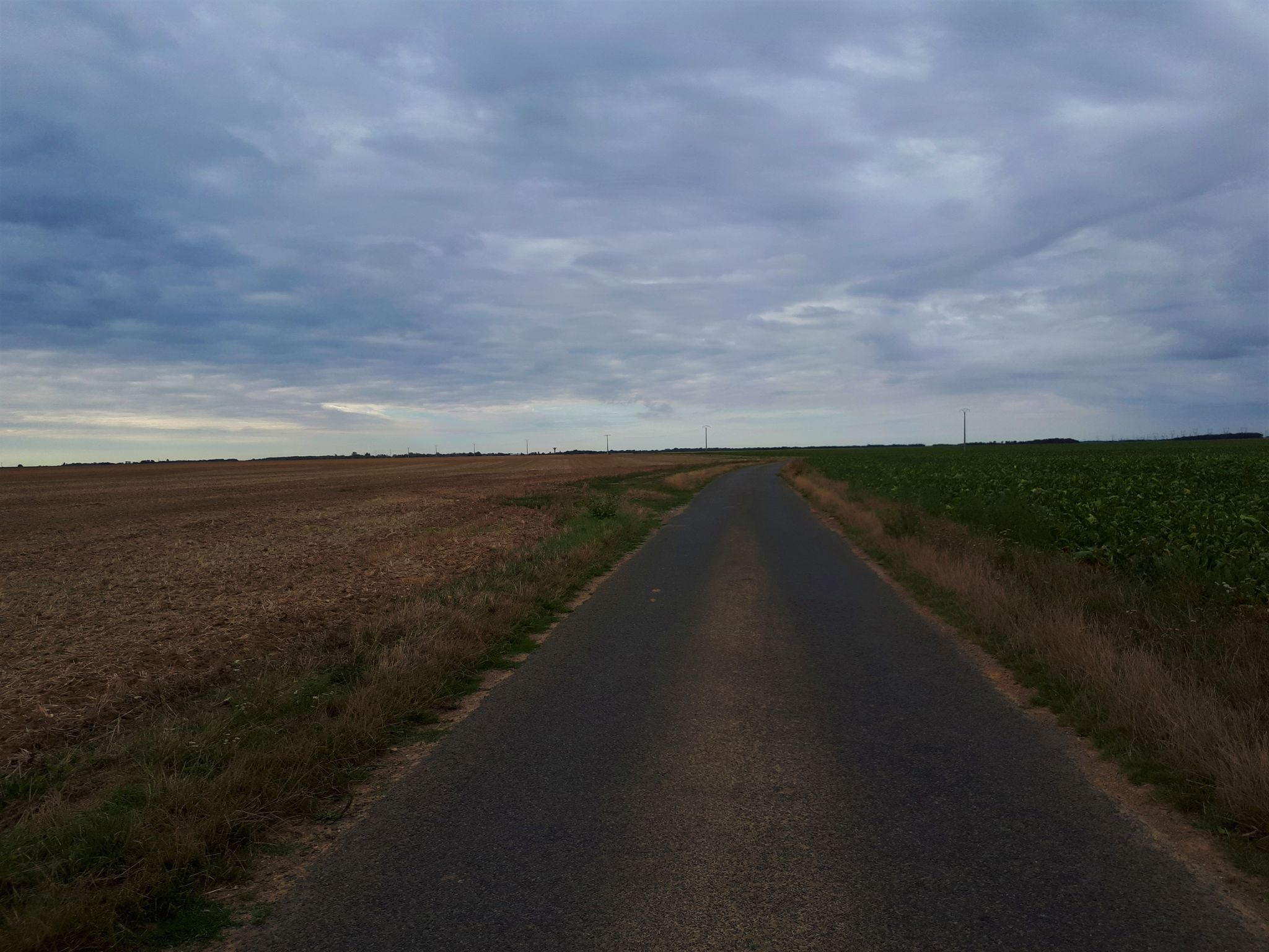 Début du plat