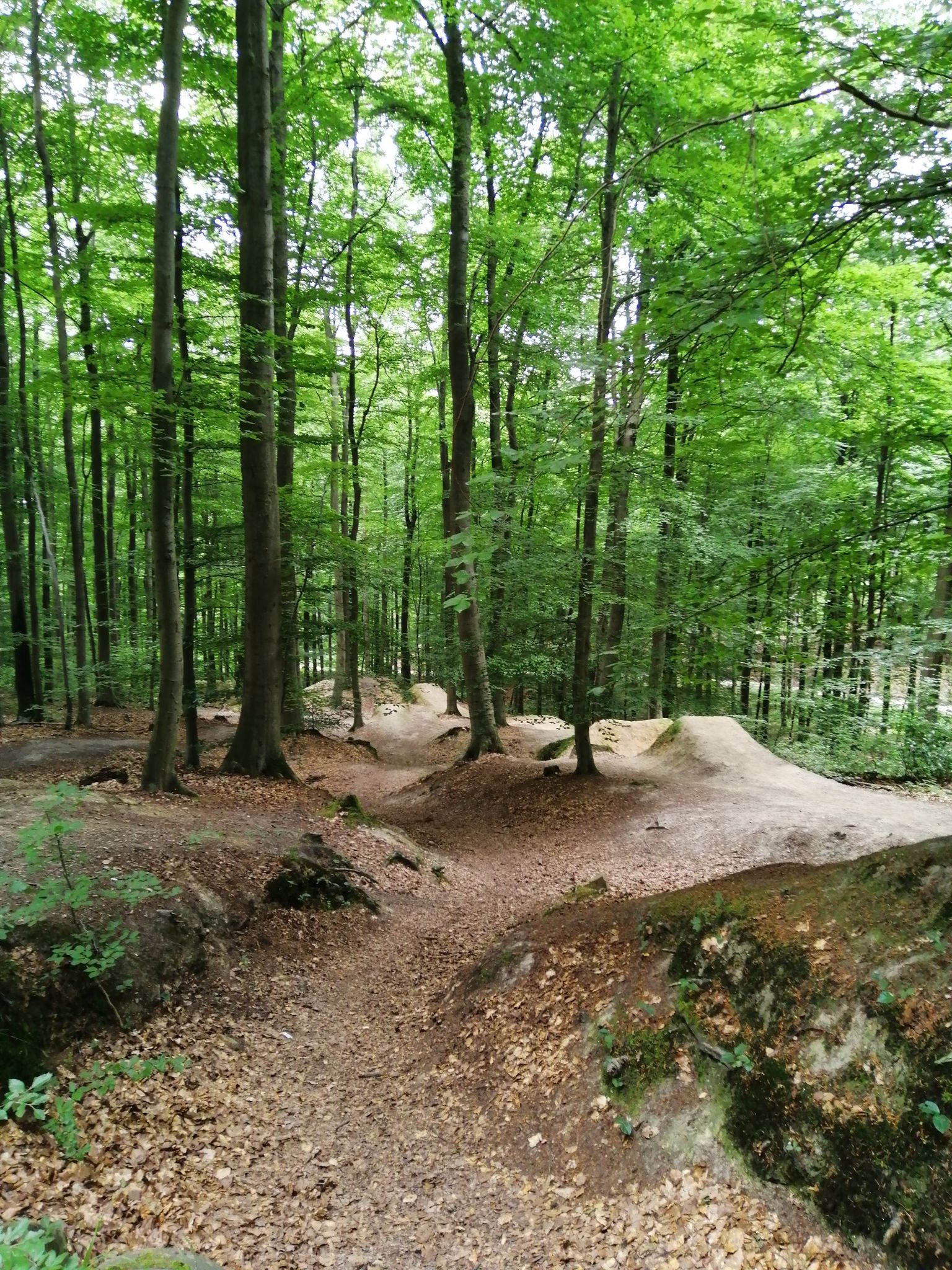 Mountainbike Parcour