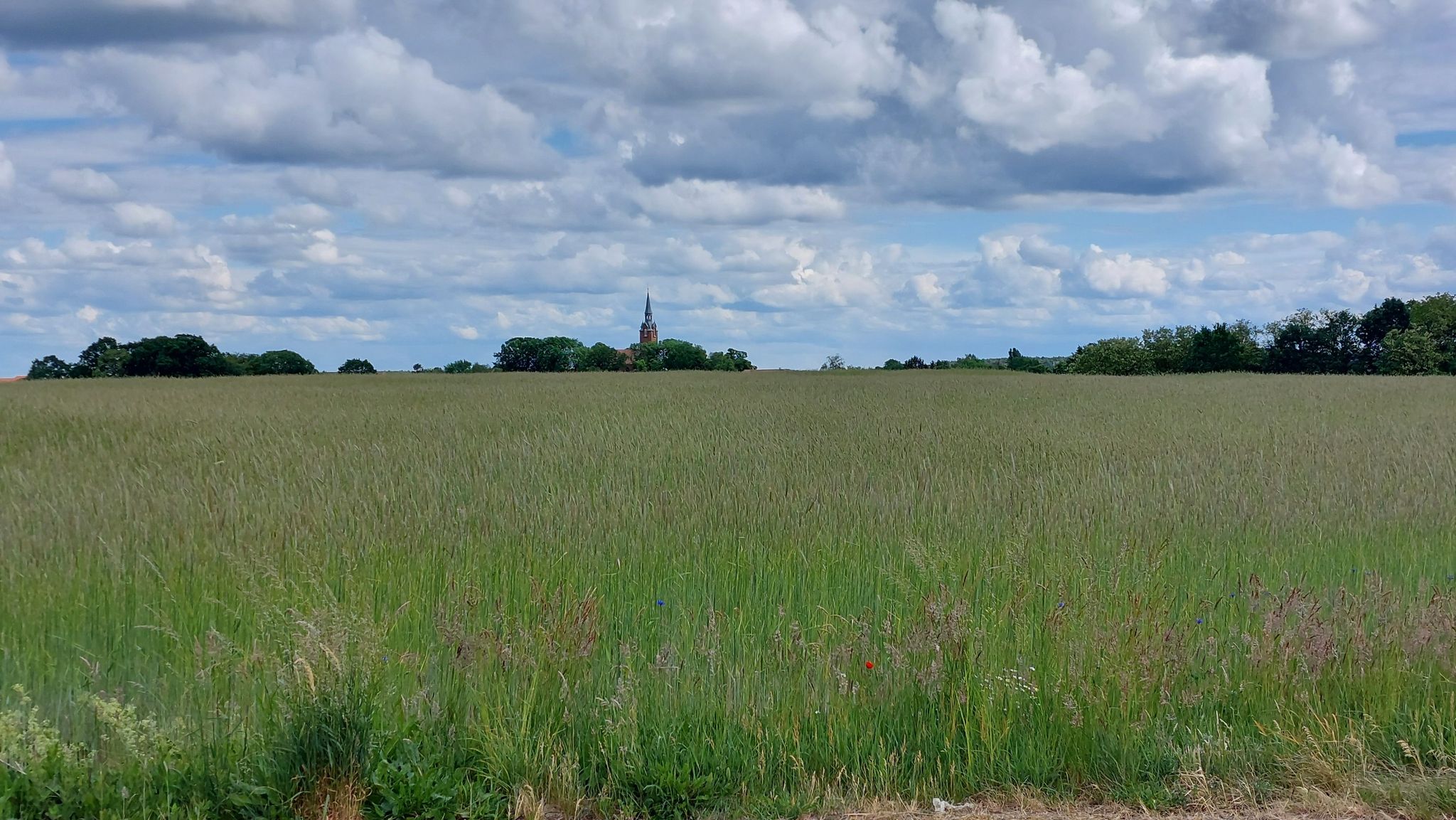 Wellmitz Kirche